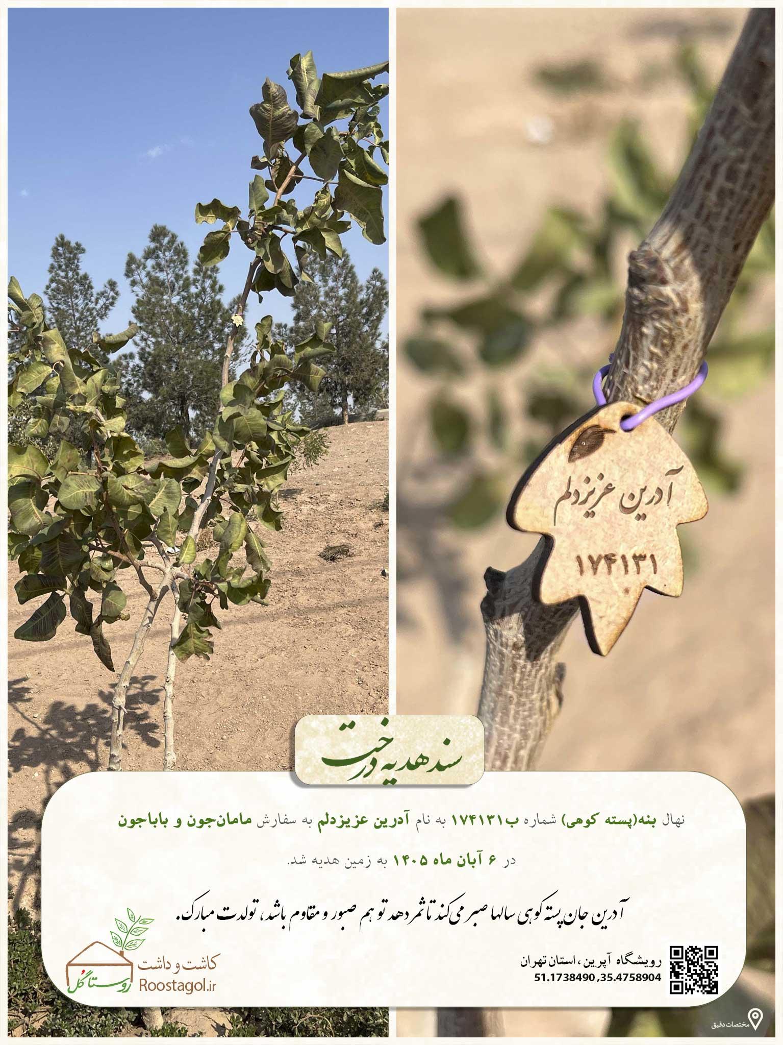 آدرین عزیزدلم