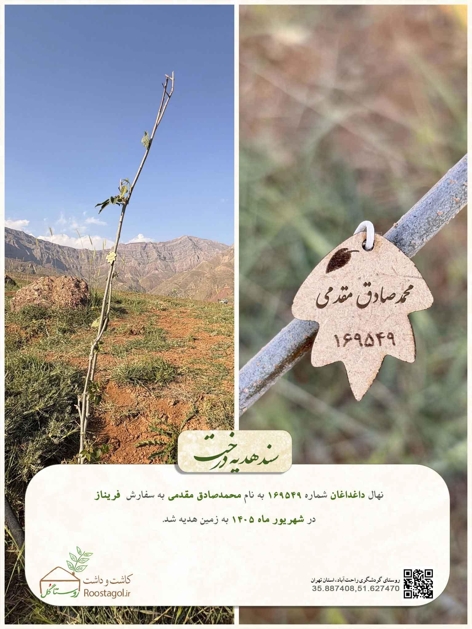 محمدصادق مقدمی