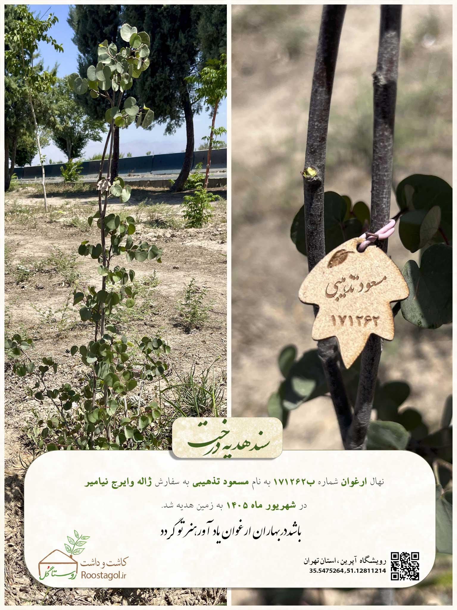 مسعود تذهیبی