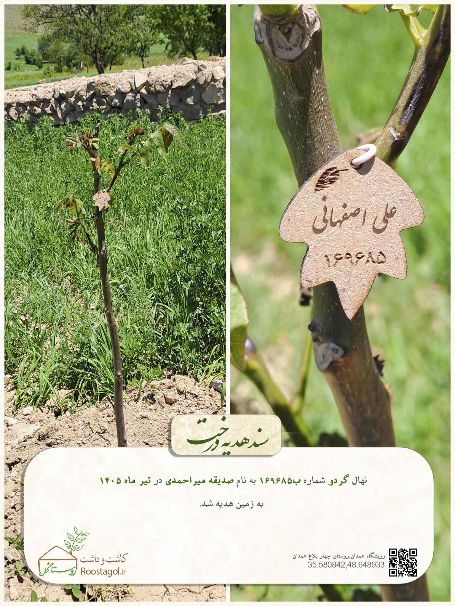 علی اصفهانی