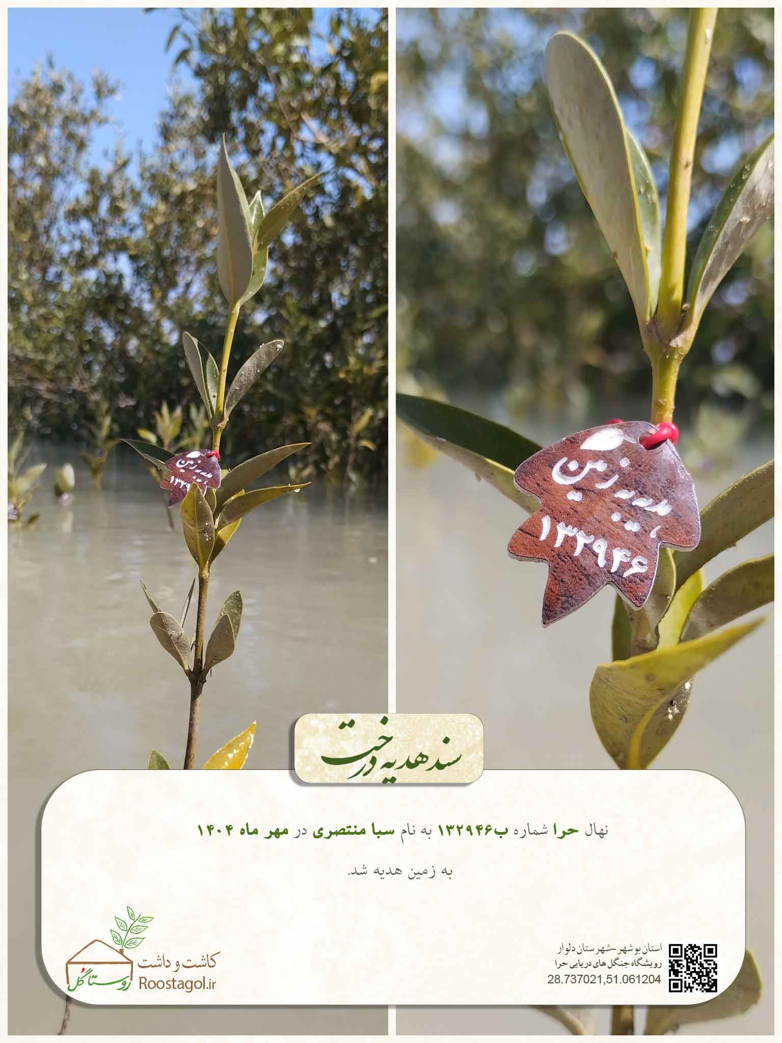 سفارش درخت