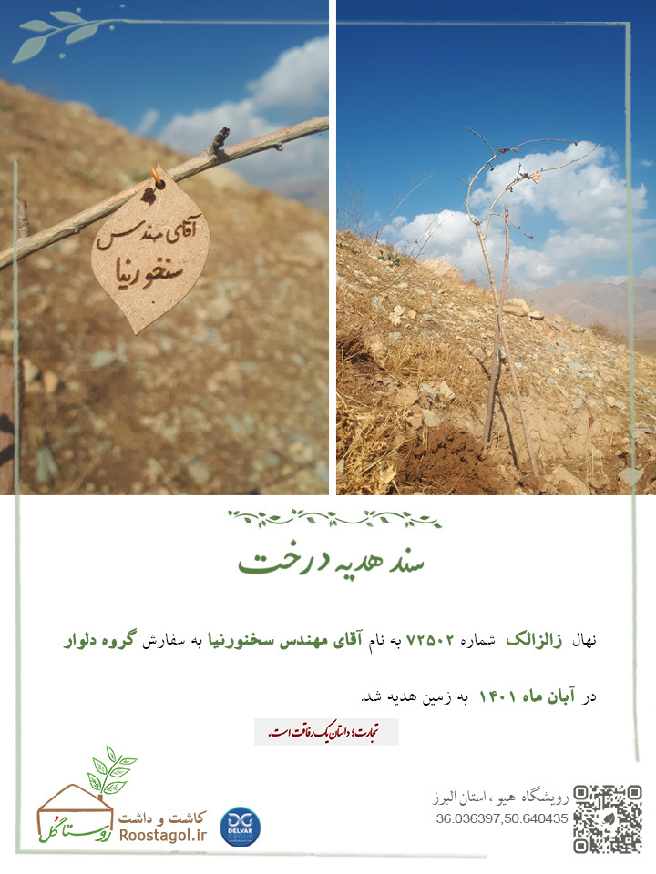 سفارش درخت