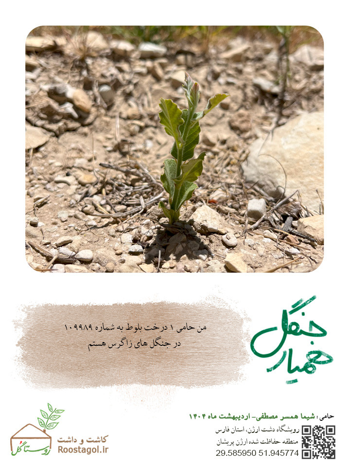 شیما همسر مصطفی
