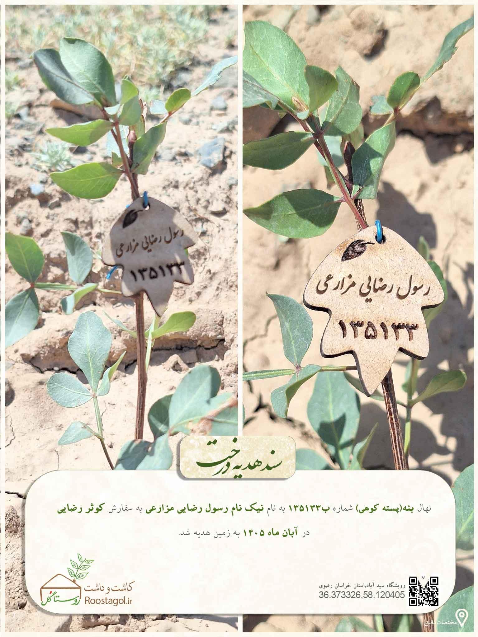نیک نام رسول رضایی مزارعی