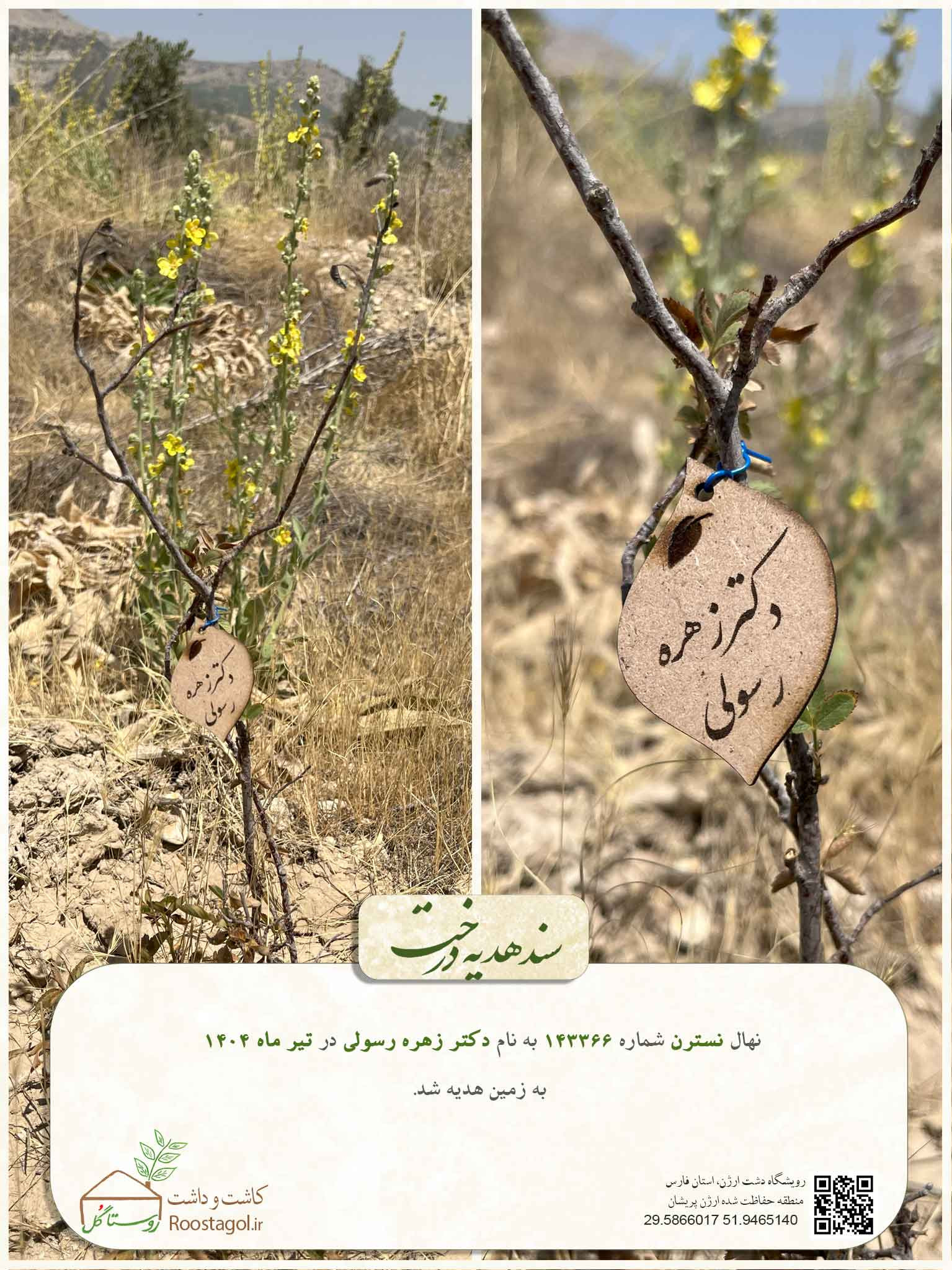 دکتر زهره رسولی