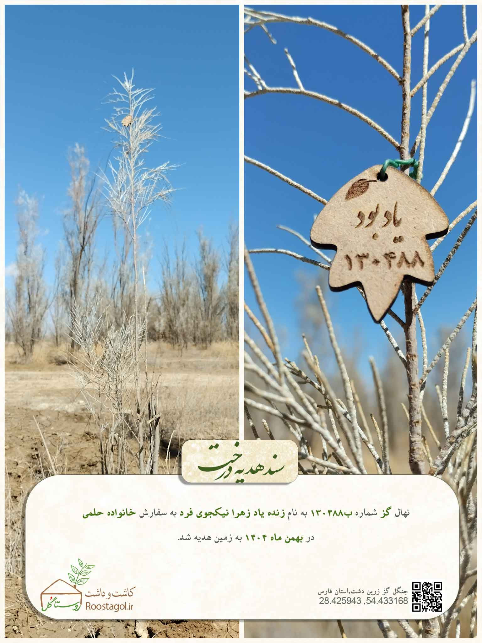 زنده ياد زهرا نيكجوى فرد