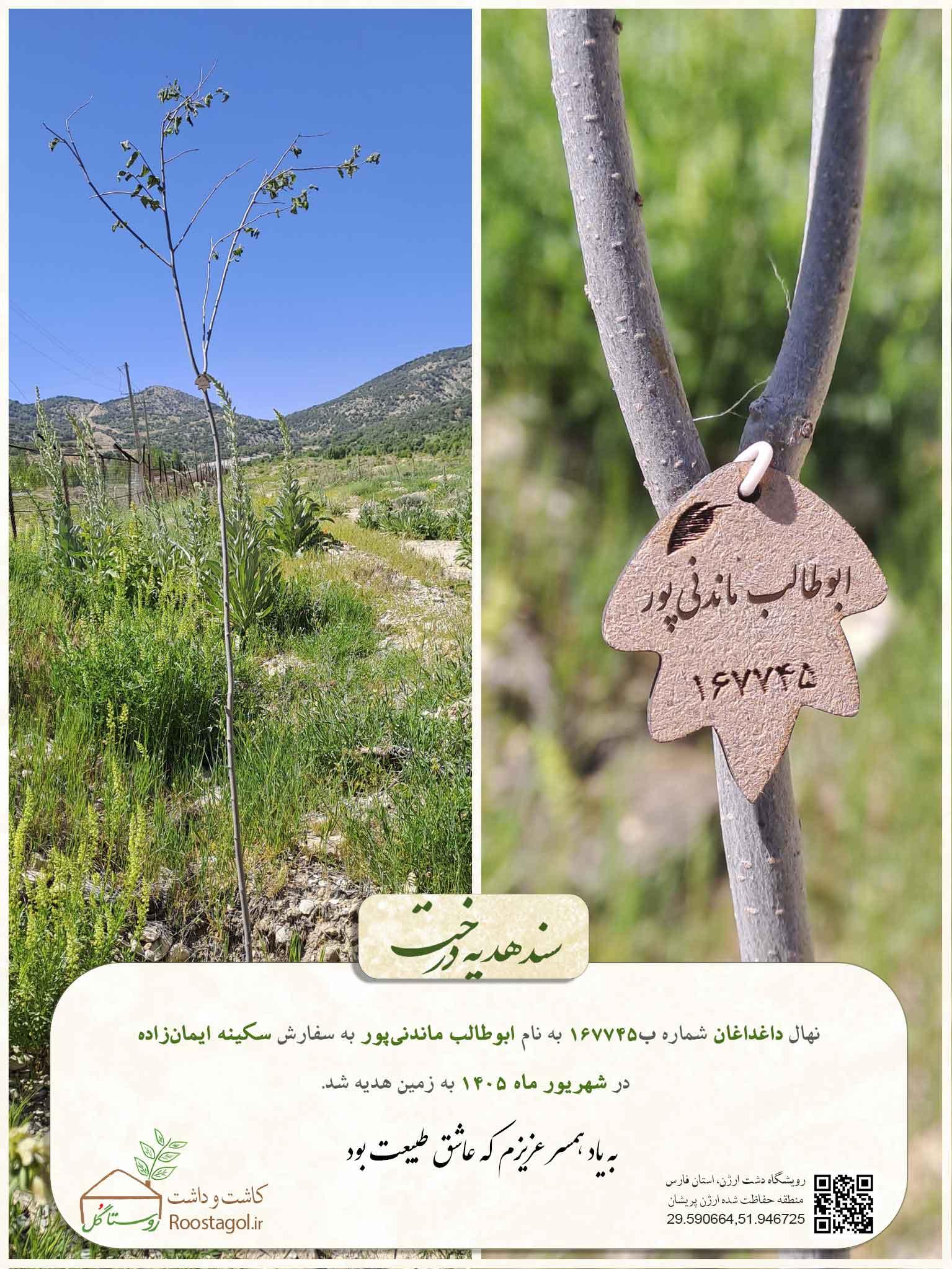 ابوطالب ماندنی‌پور