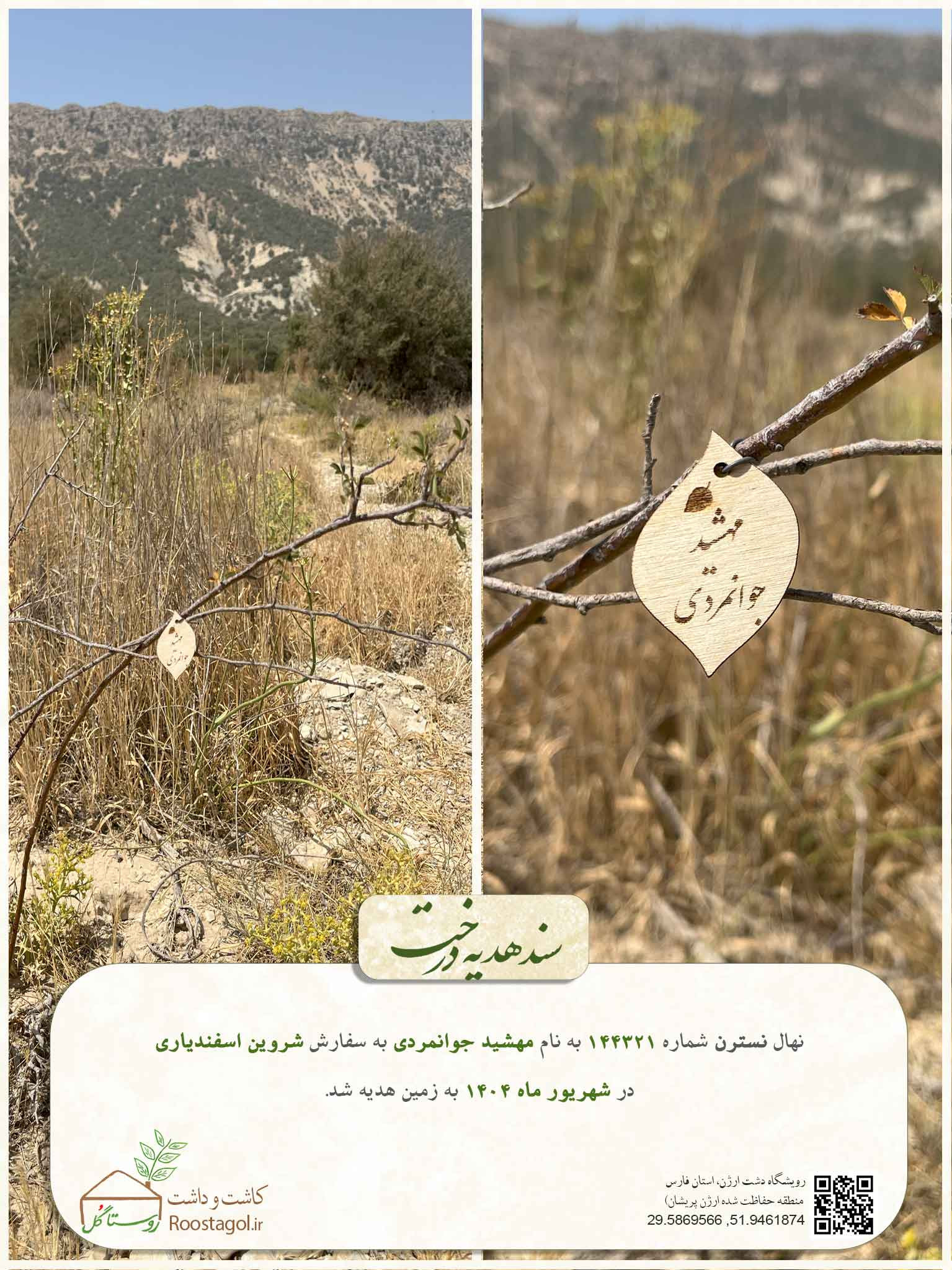 سفارش درخت