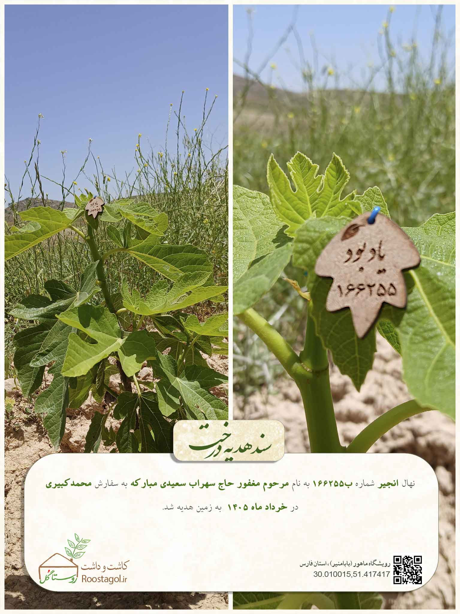 مرحوم مغفور حاج سهراب سعیدی مبارکه
