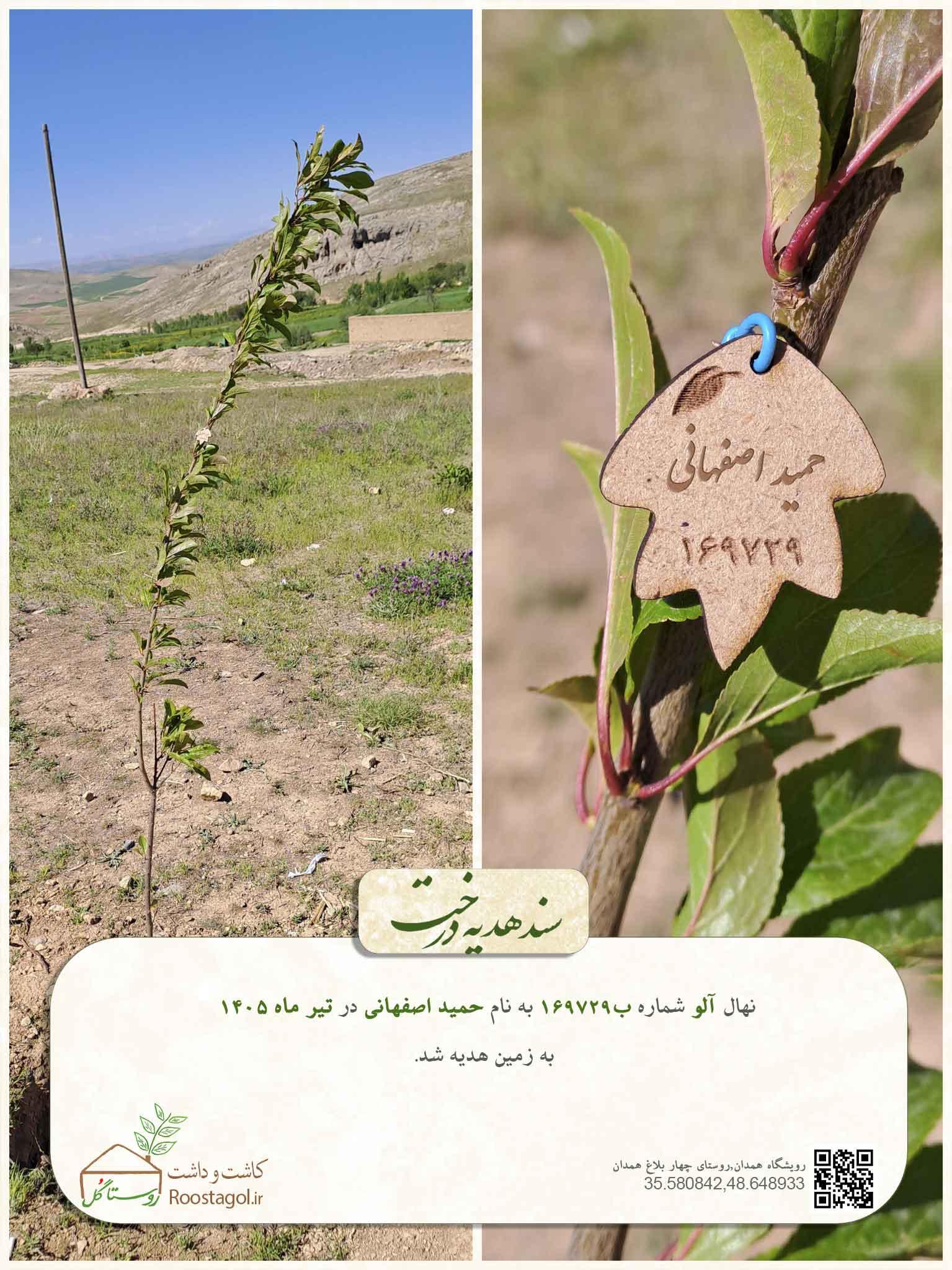 حمید اصفهانی