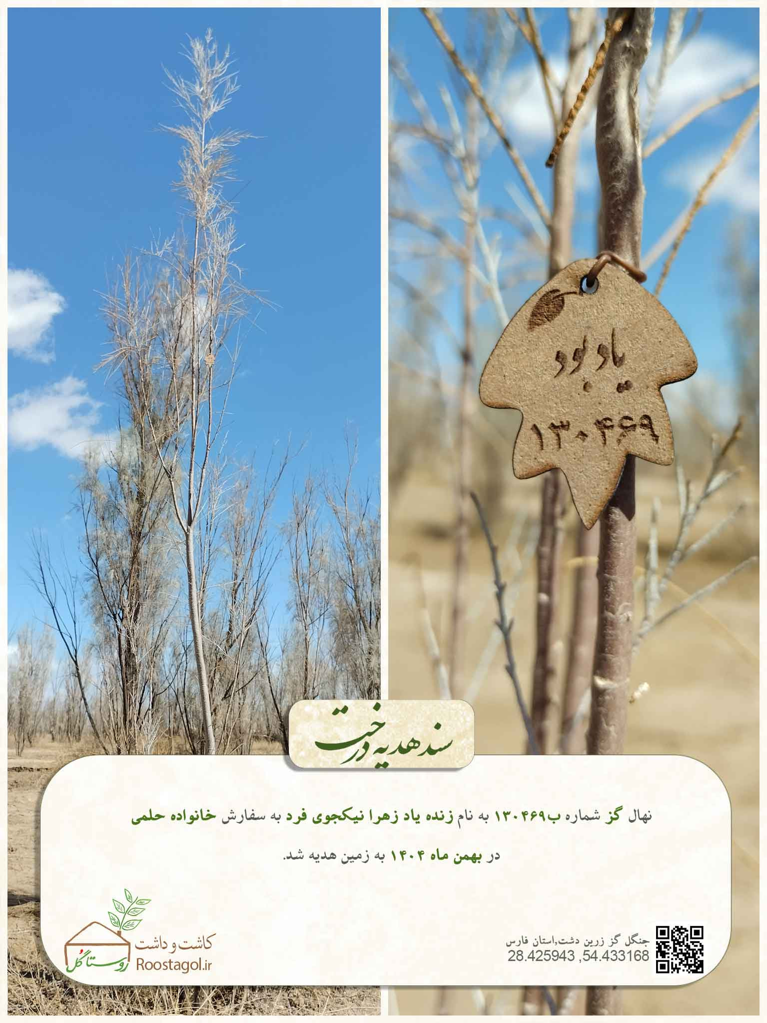 زنده ياد زهرا نيكجوى فرد