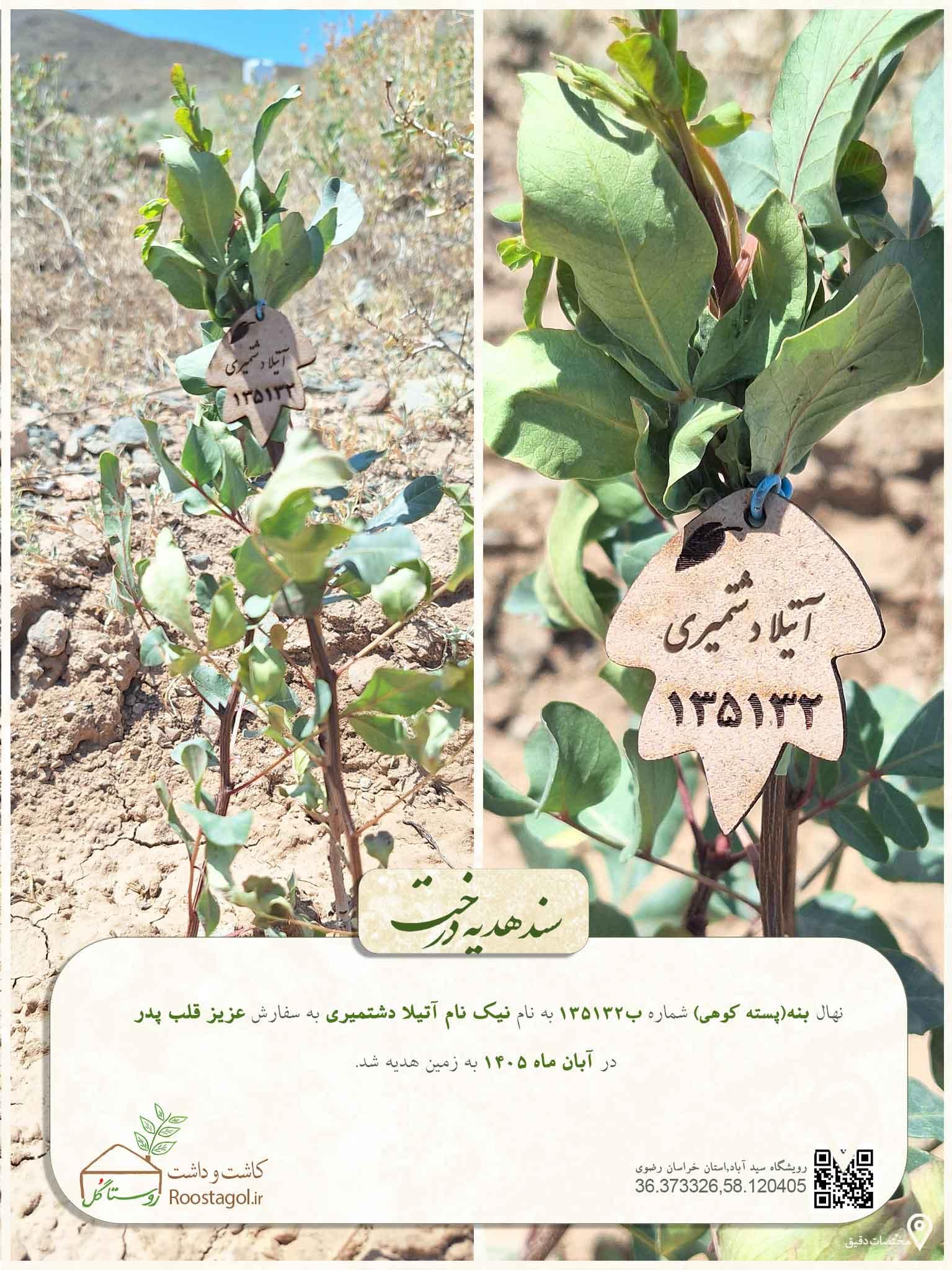 نیک نام آتیلا دشتمیری