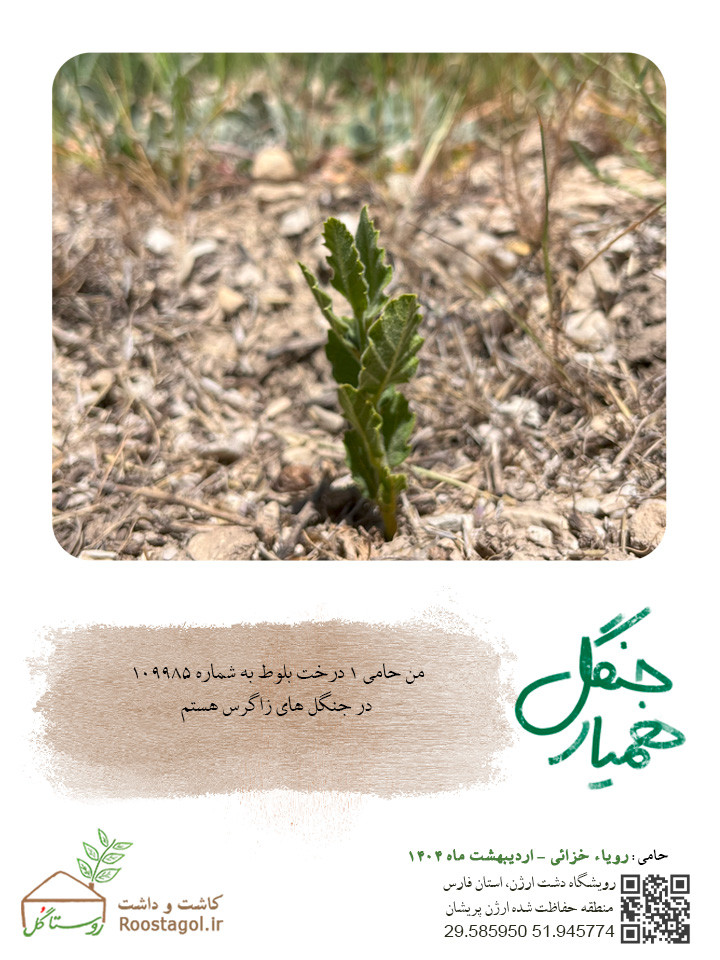 روياء خزائي