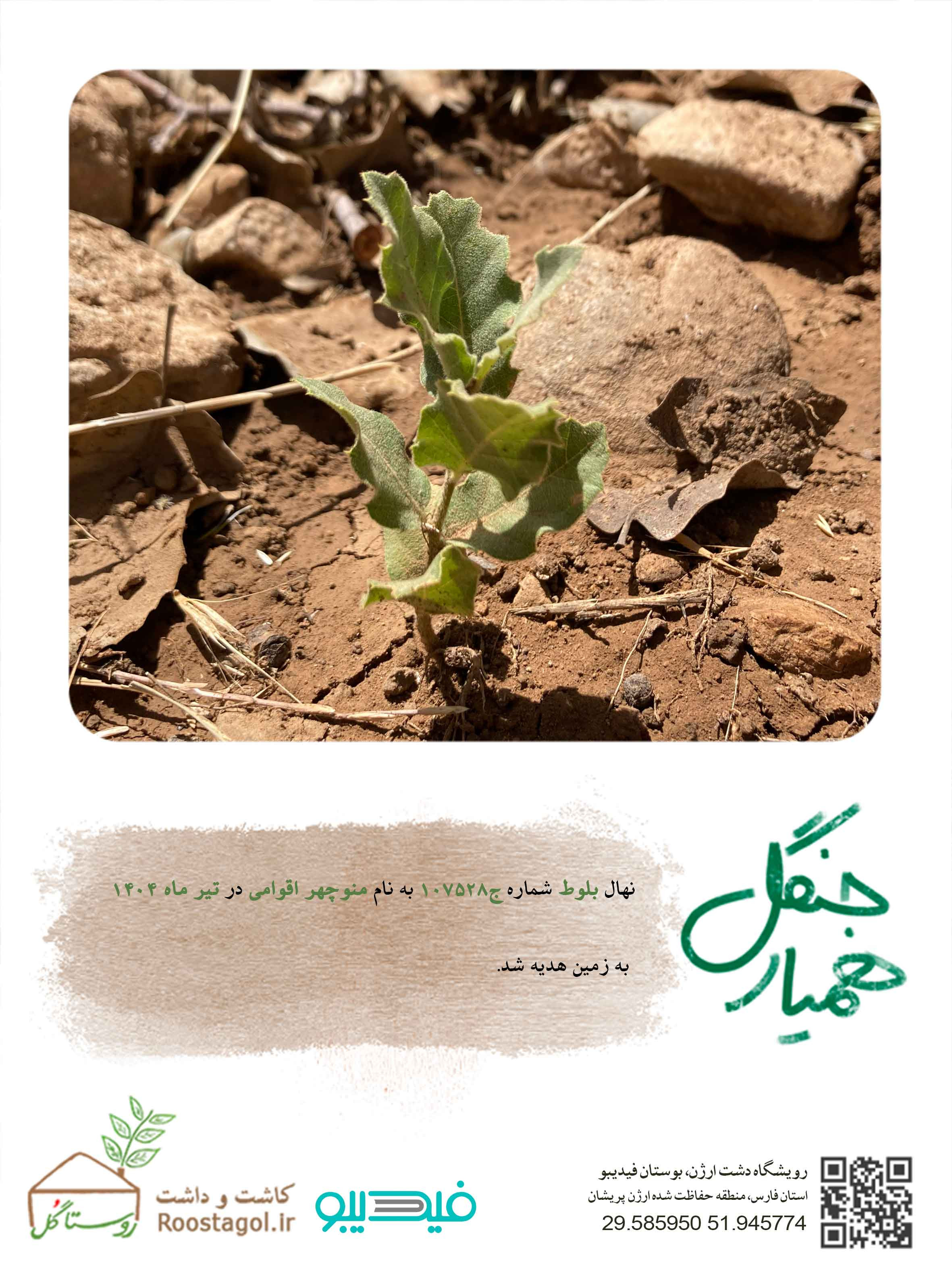 منوچهر اقوامی