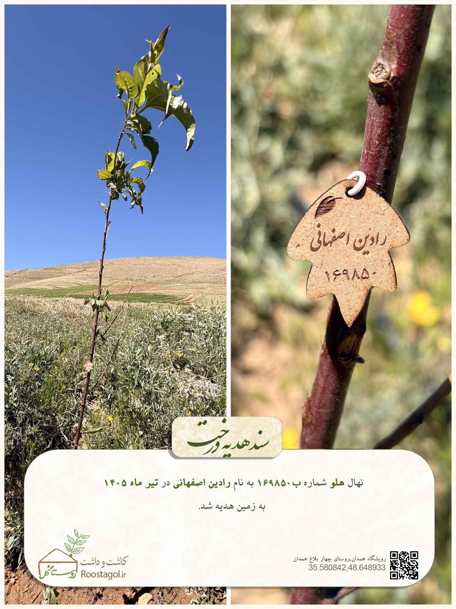 رادین اصفهانی