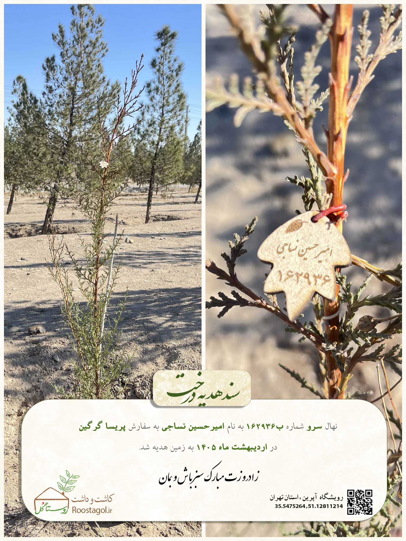 امیرحسین نساجی