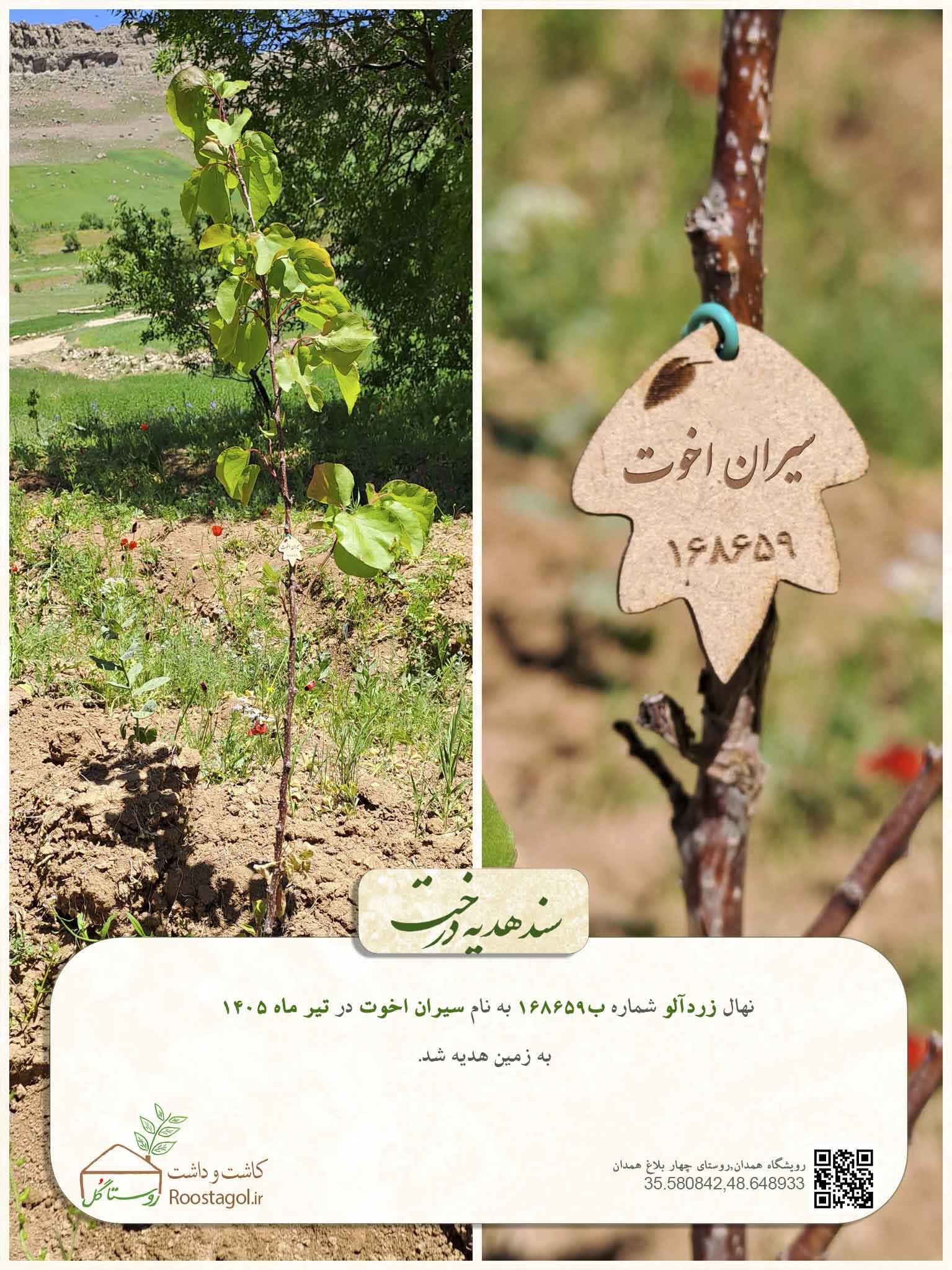 سیران اخوت