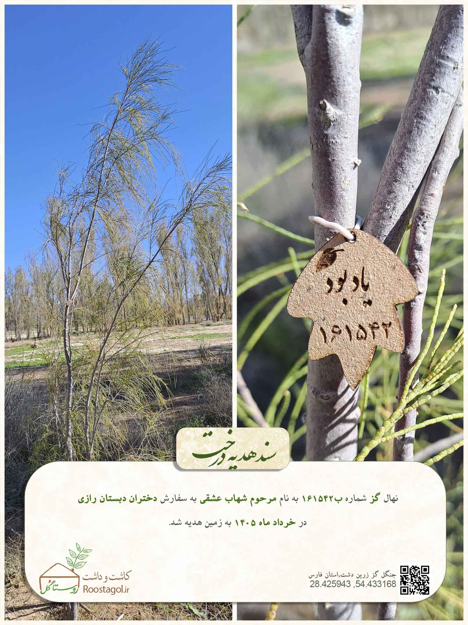 مرحوم شهاب عشقی