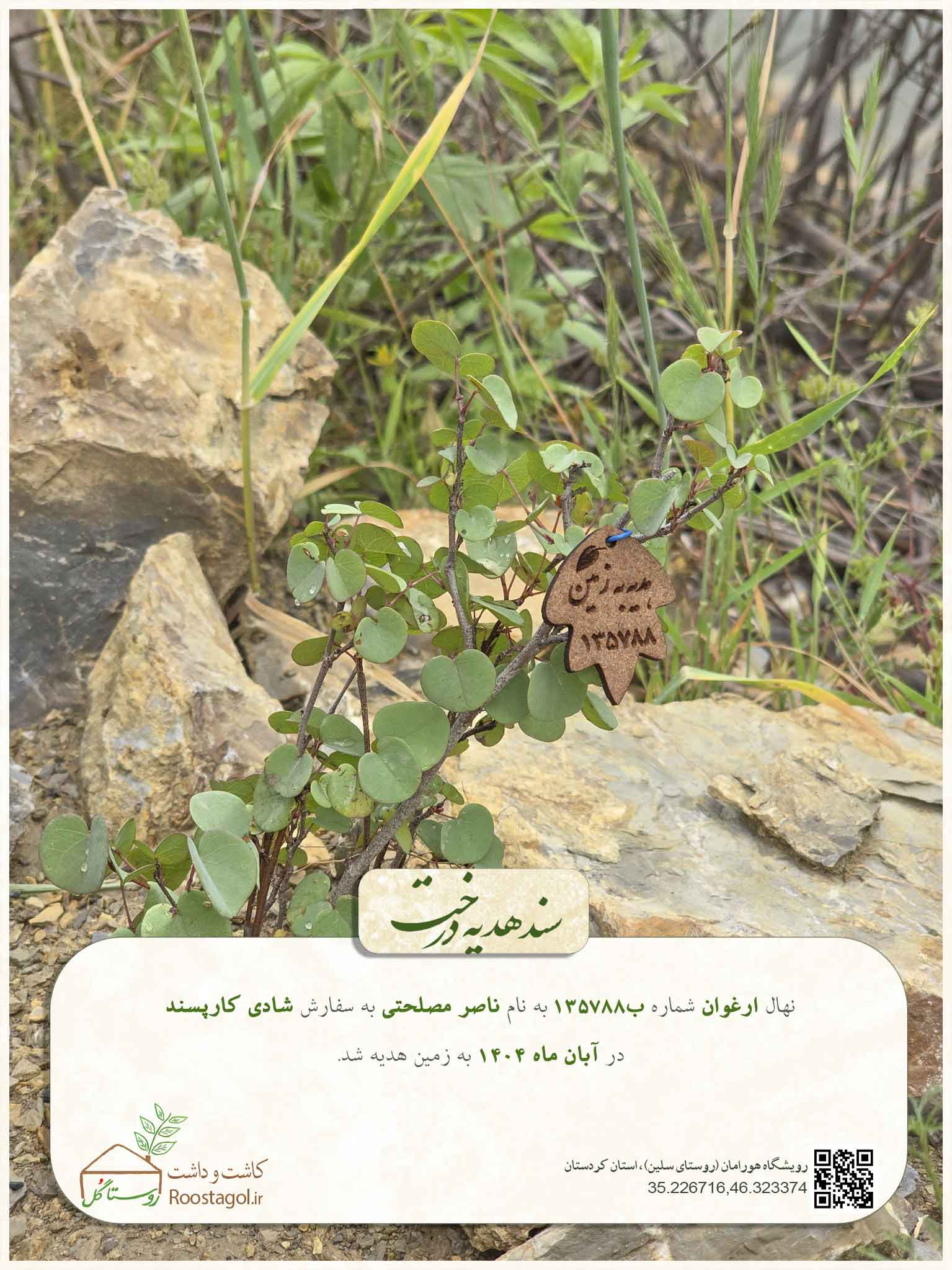 ناصر مصلحتی