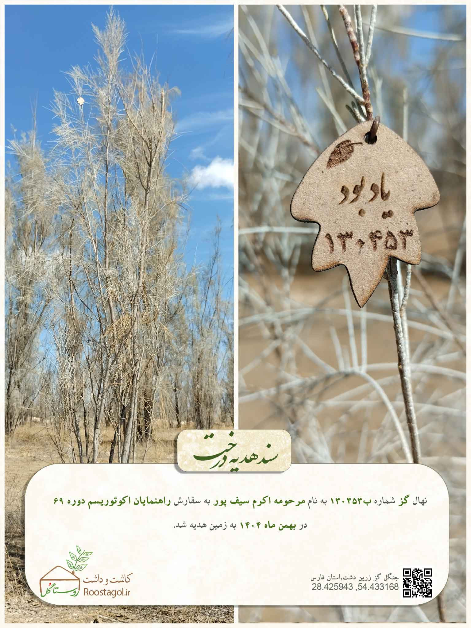 مرحومه اکرم سیف پور