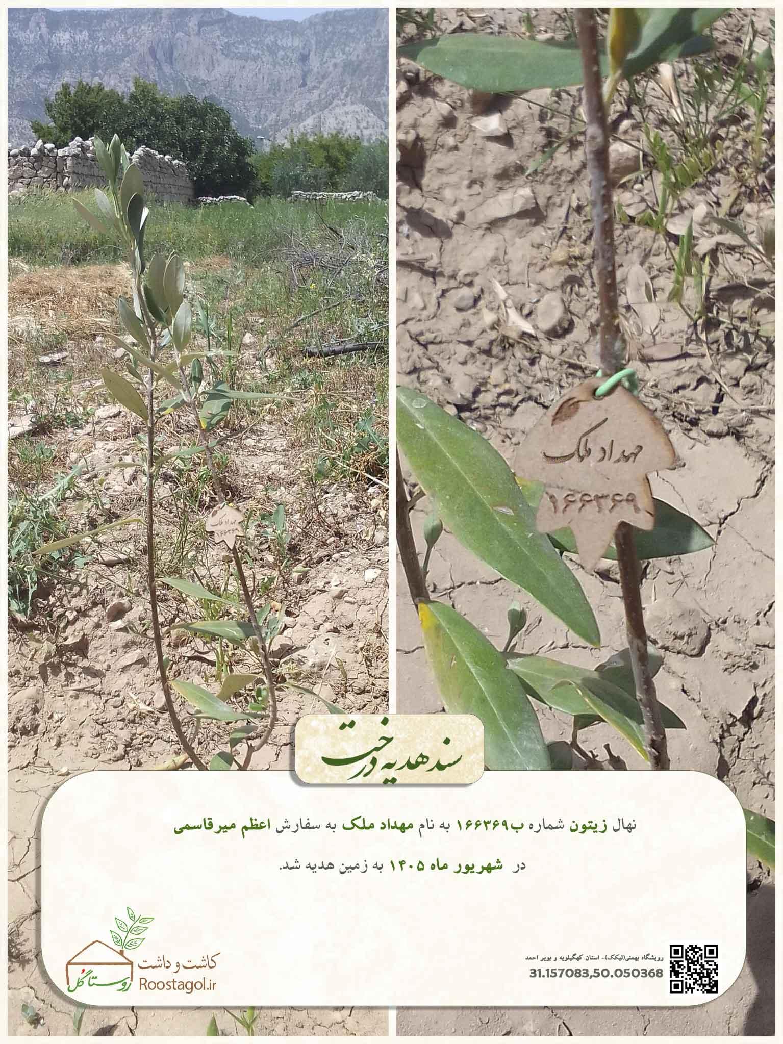 مهداد ملک