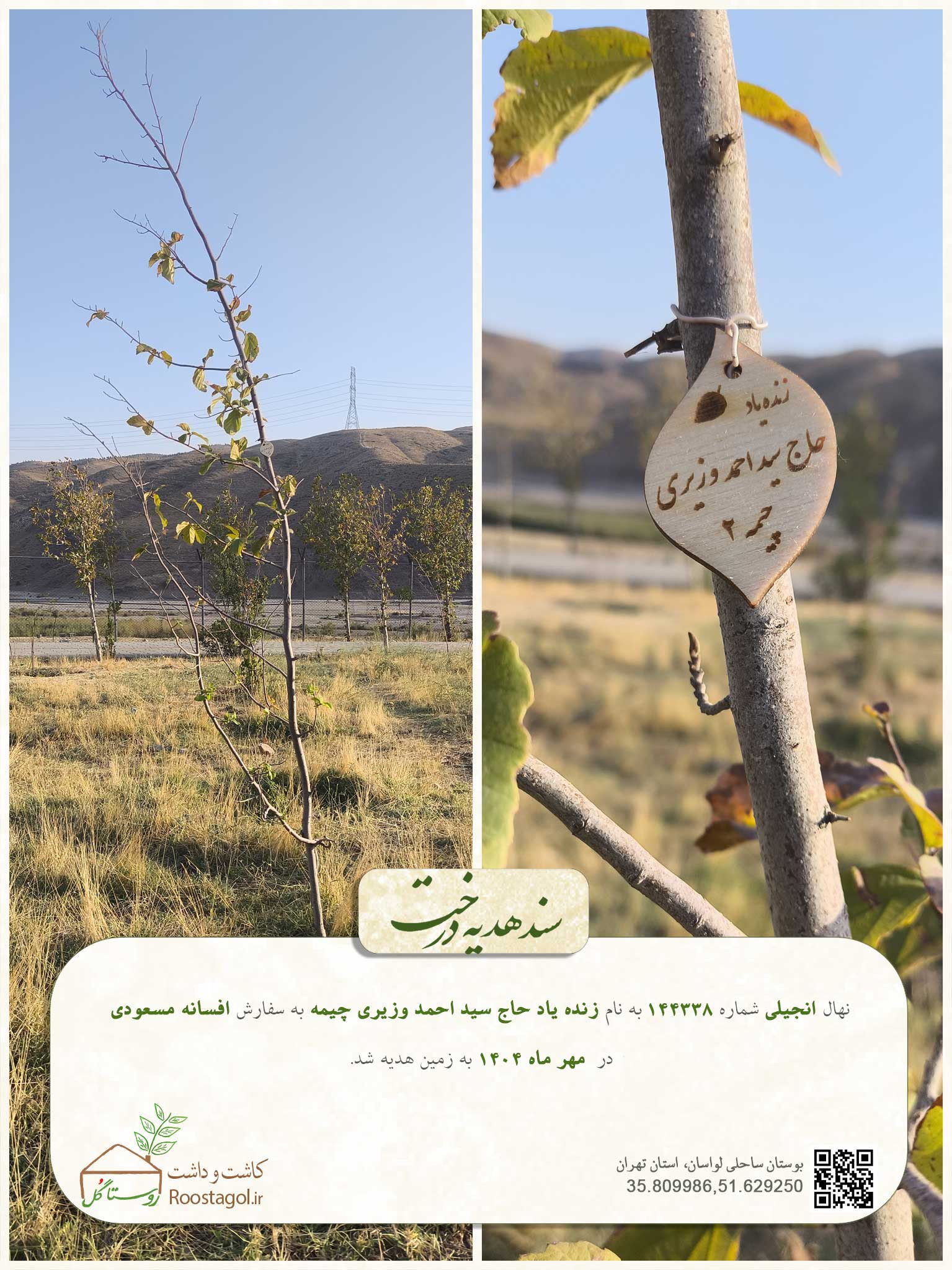 سفارش درخت