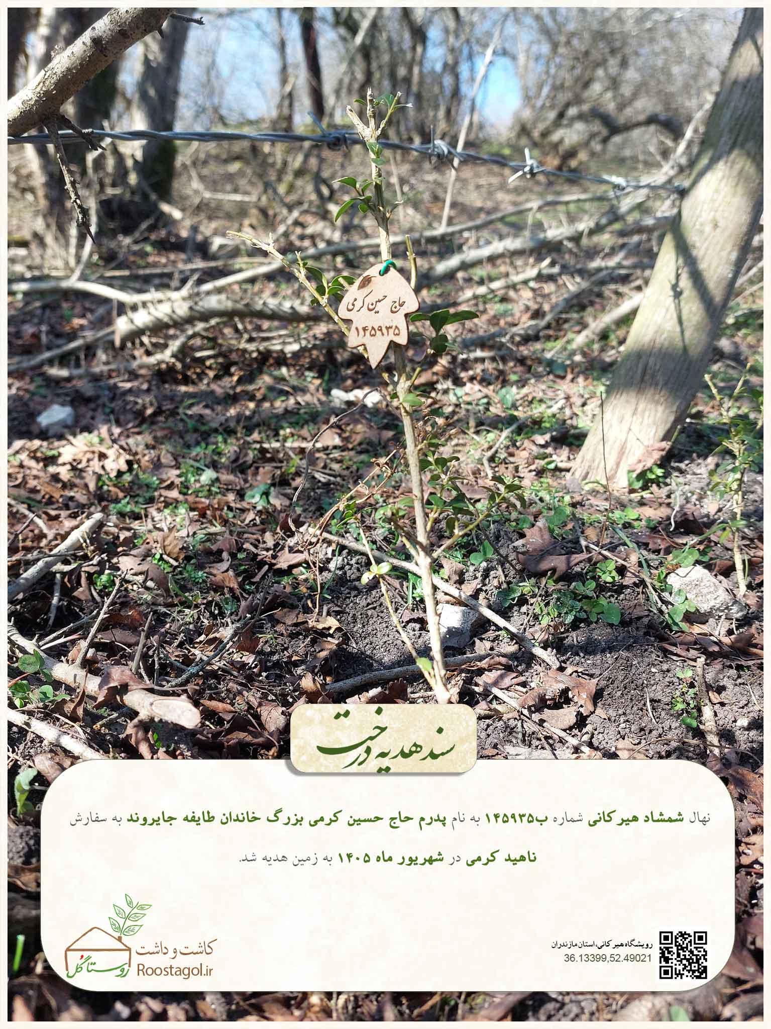 حاج حسین کرمی