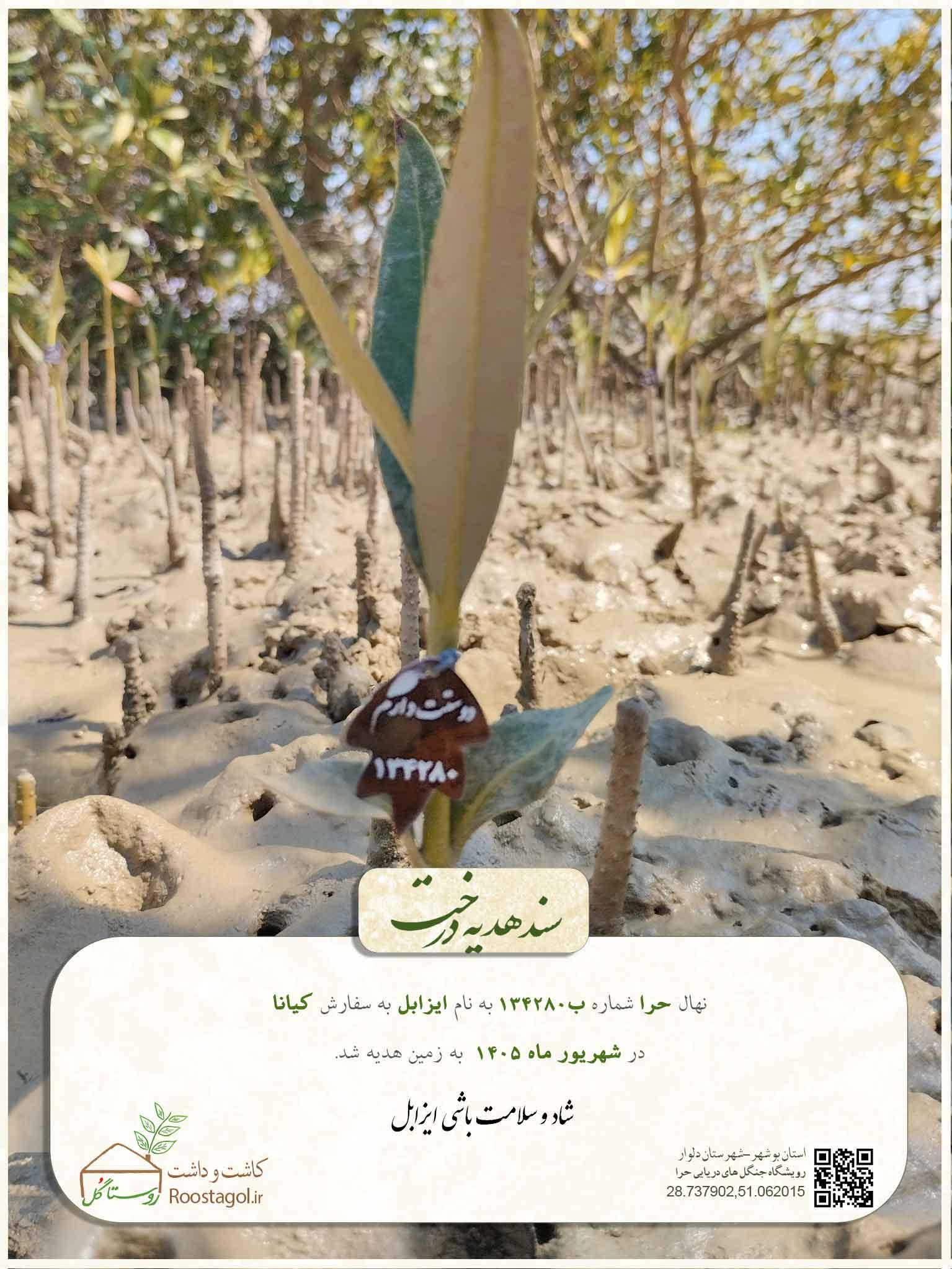 ایزابل