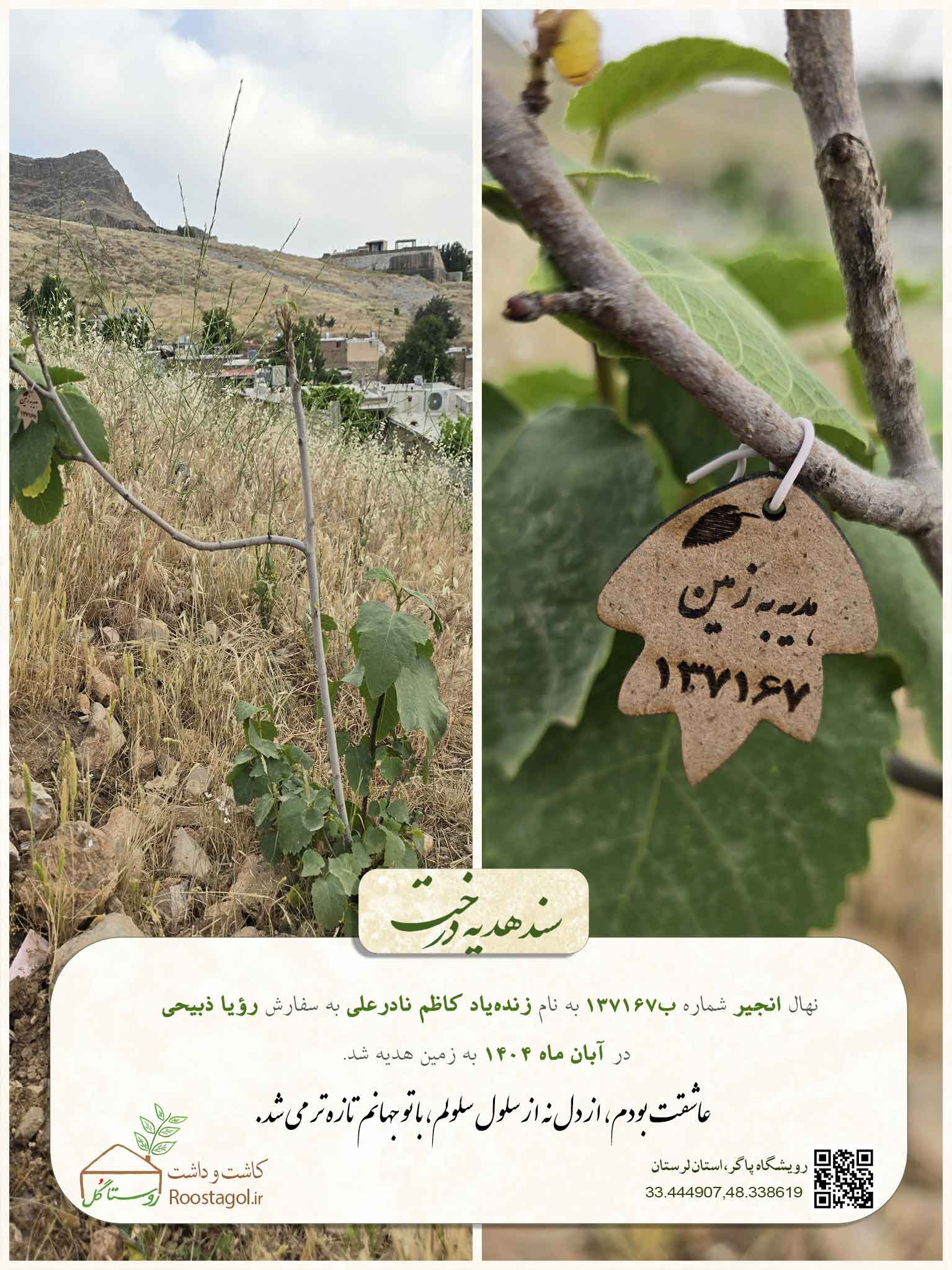 زنده‌یاد کاظم نادرعلی