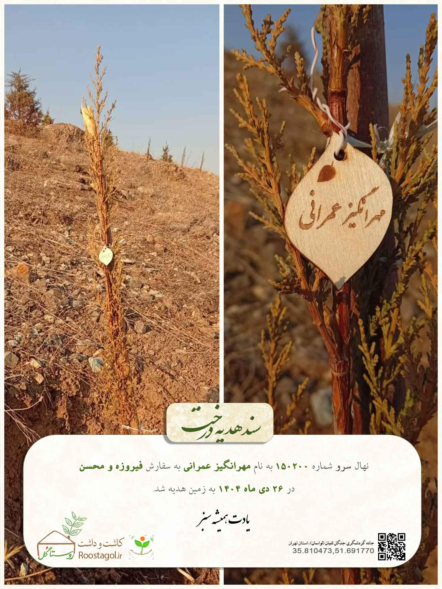 مهرانگیز عمرانی