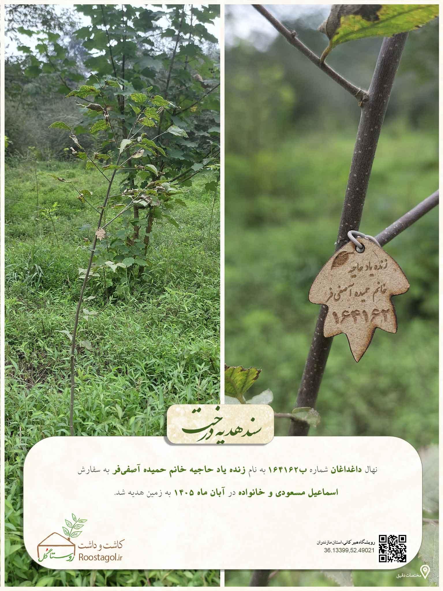 زنده یاد حاجیه خانم حمیده آصفی‌فر