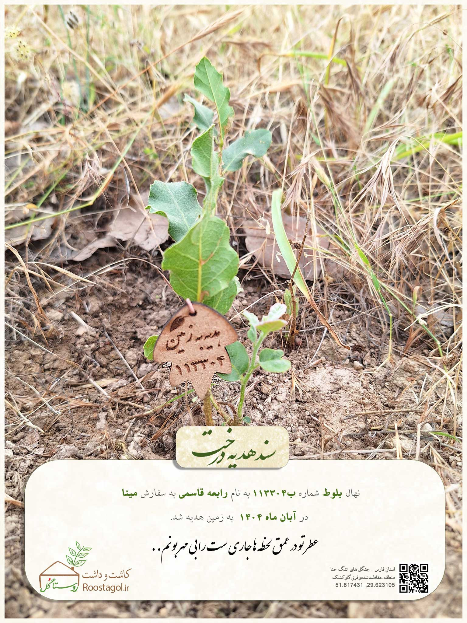 رابعه قاسمی