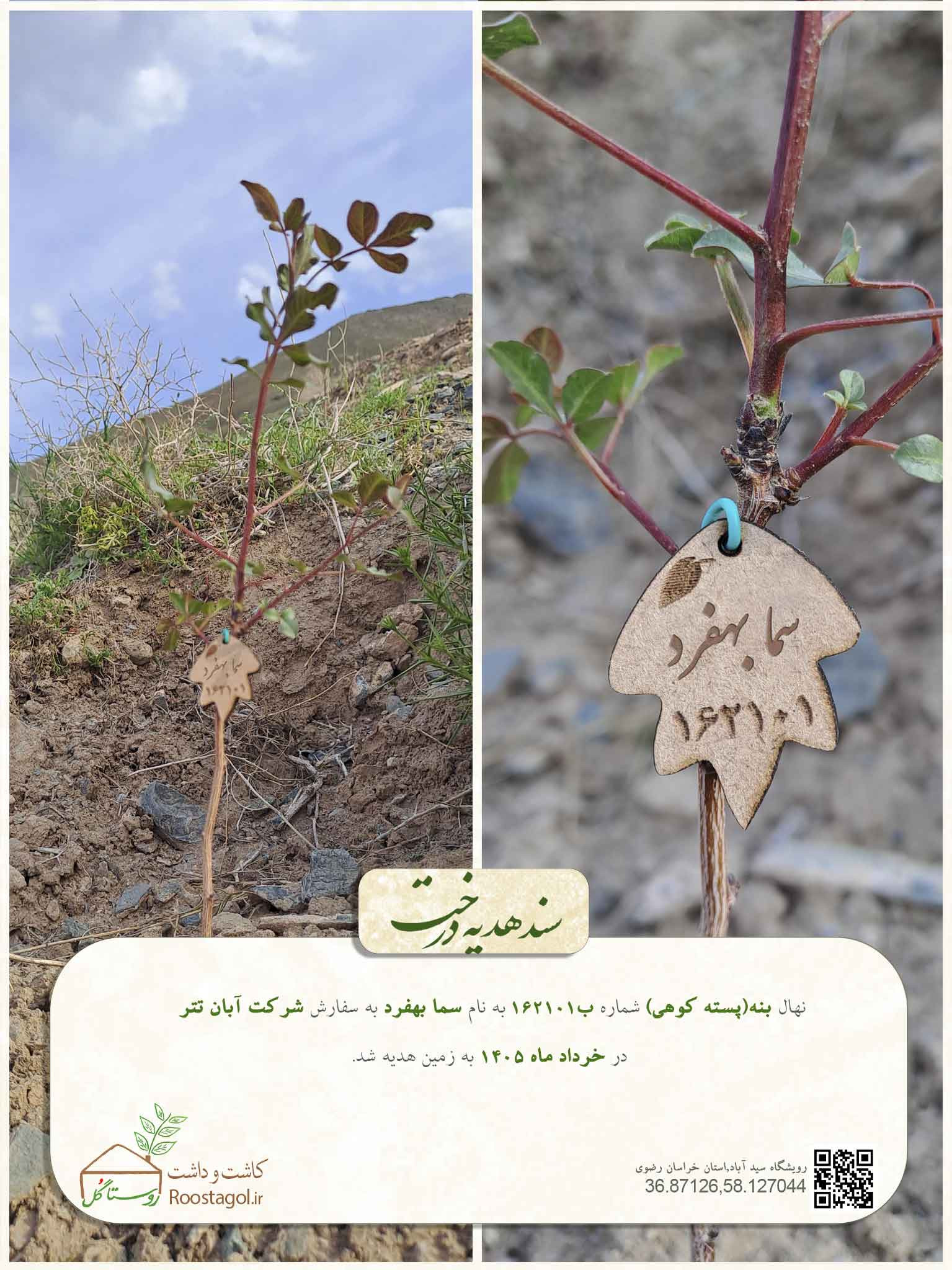 سما بهفرد