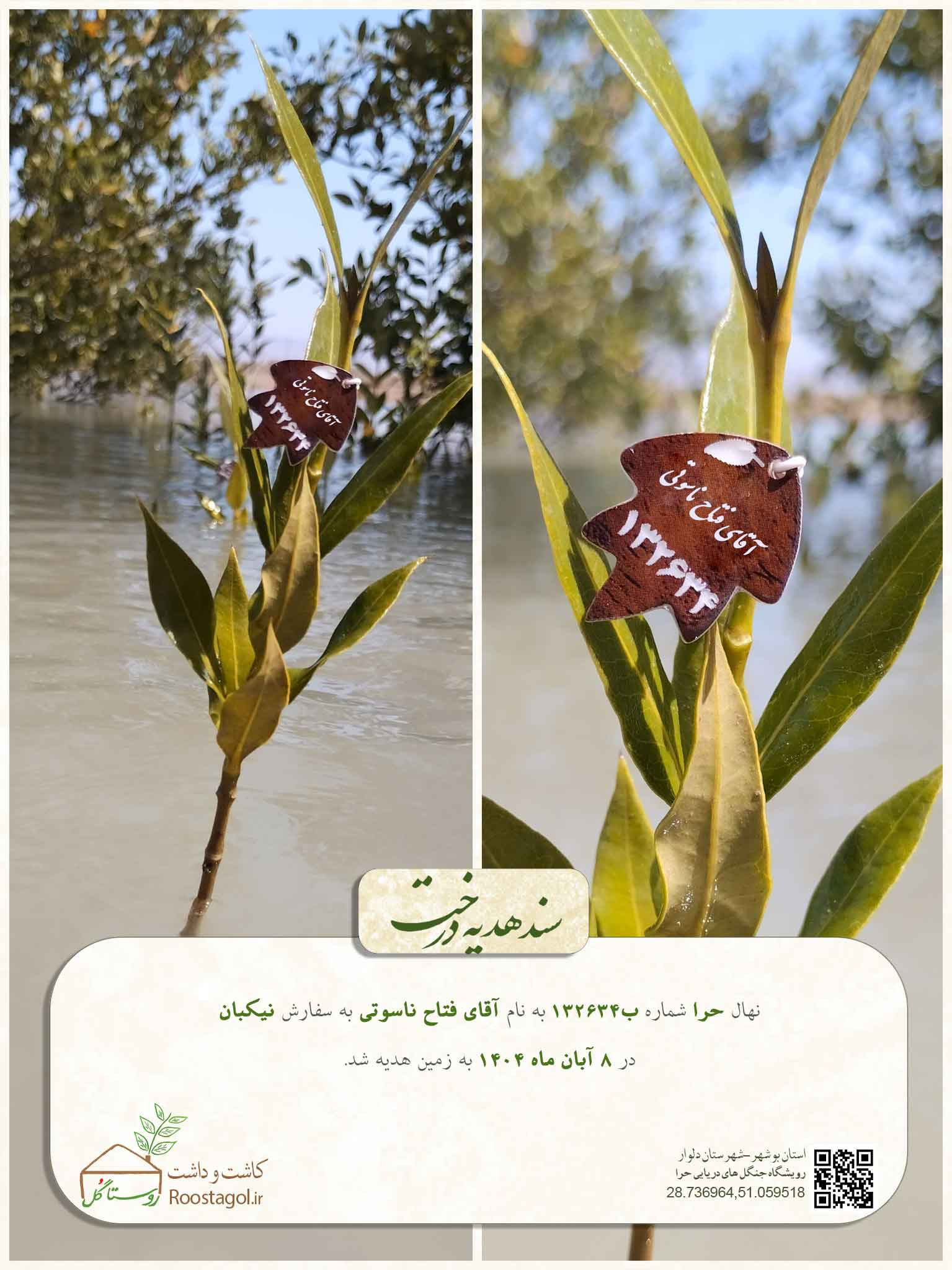 آقای فتاح ناسوتی