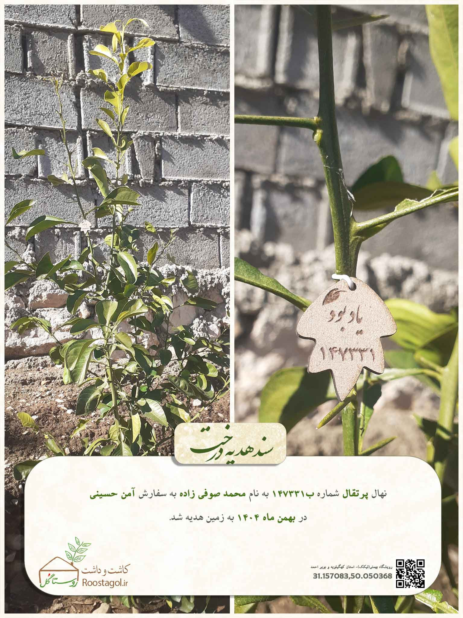 محمد صوفی زاده