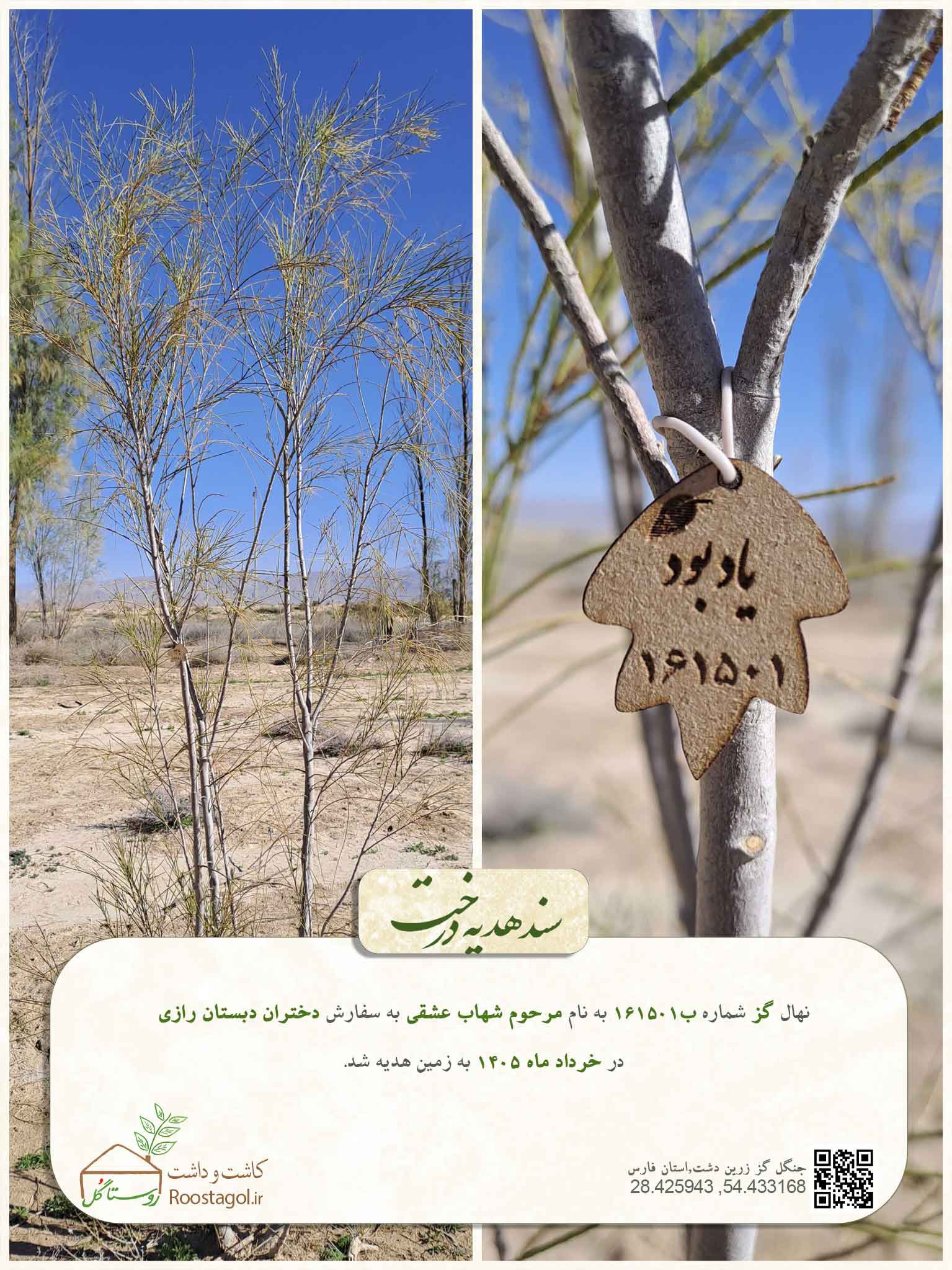 مرحوم شهاب عشقی