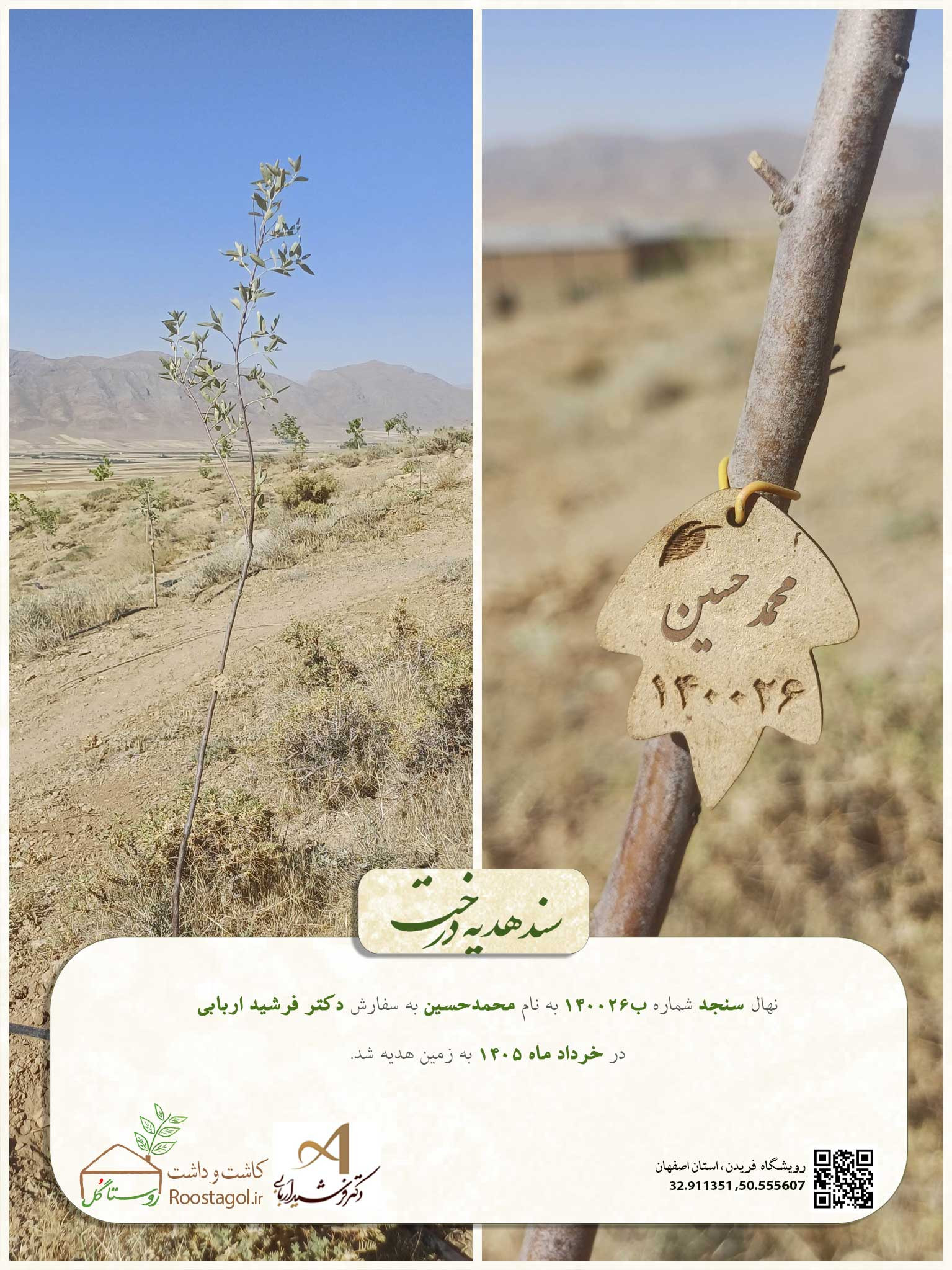 محمدحسین