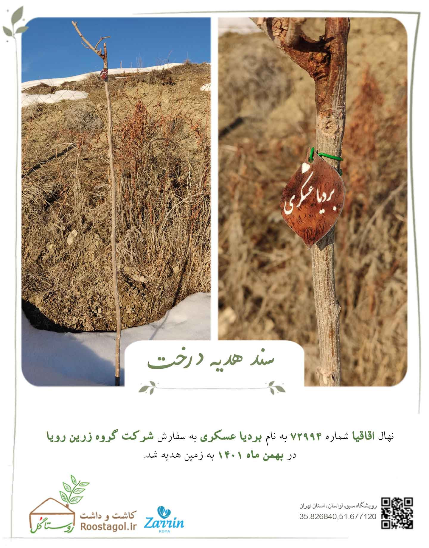 سفارش درخت
