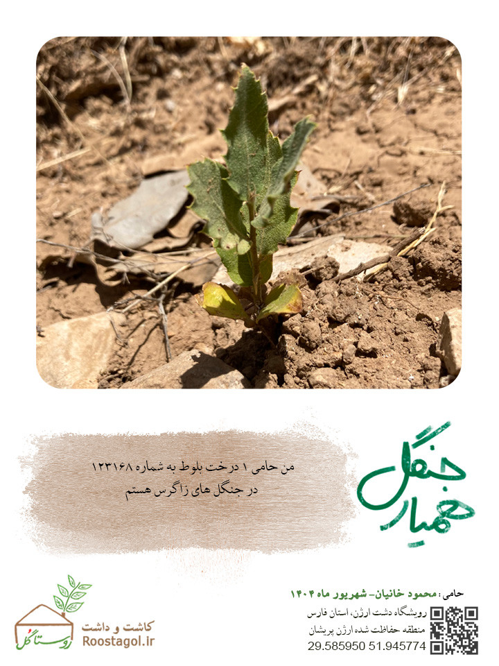 محمود خانیان