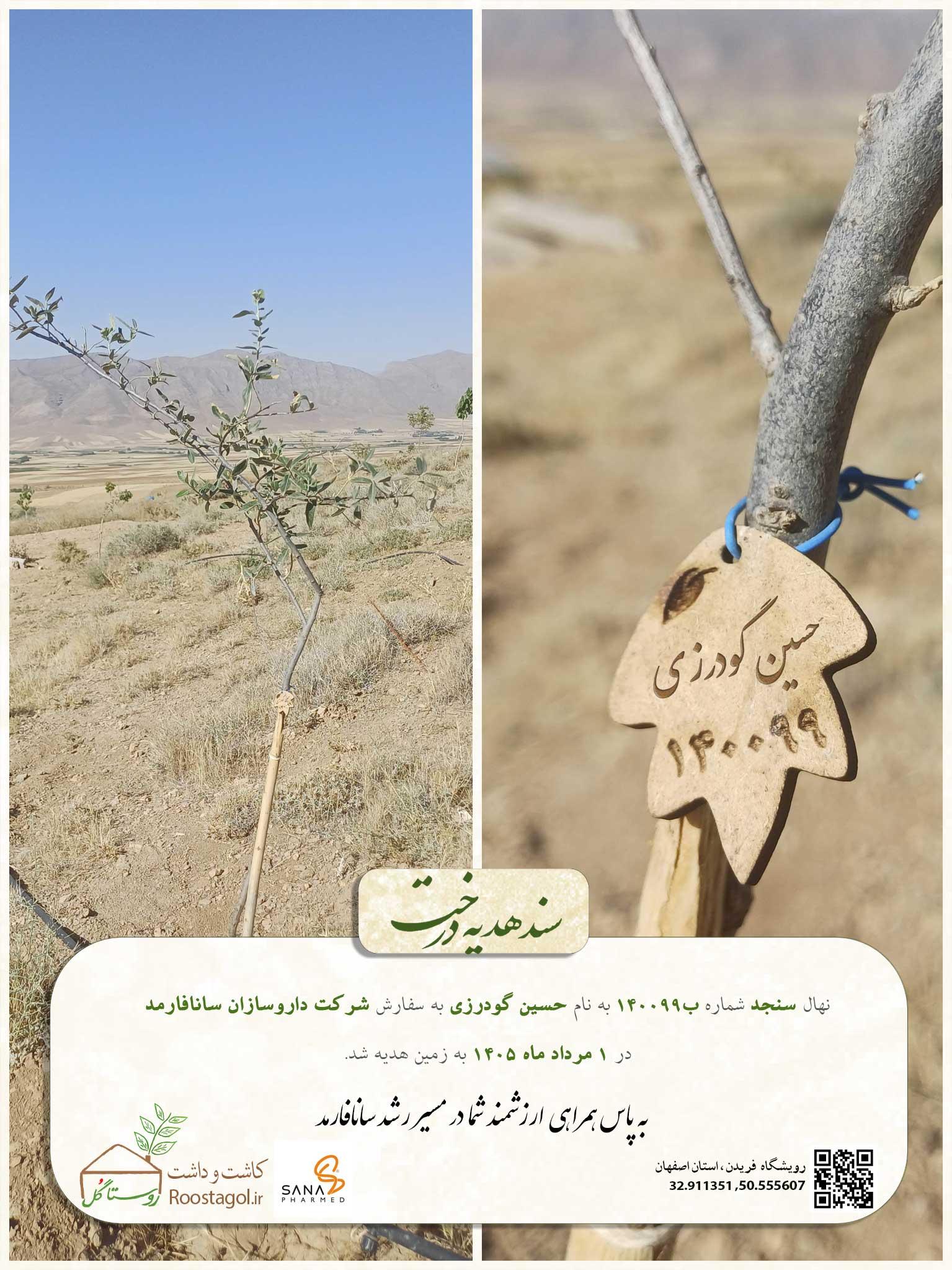 حسین گودرزی