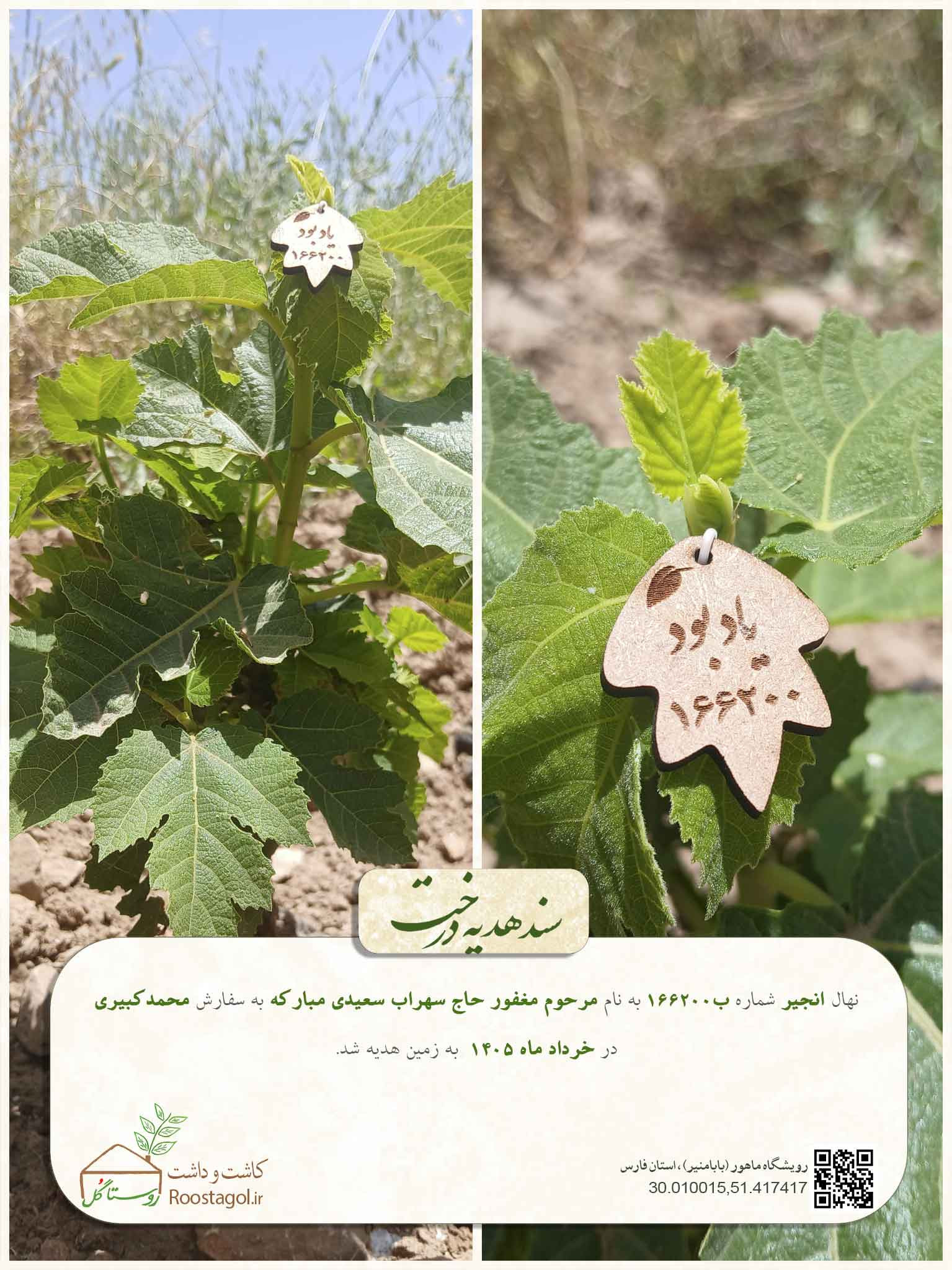 مرحوم مغفور حاج سهراب سعیدی مبارکه