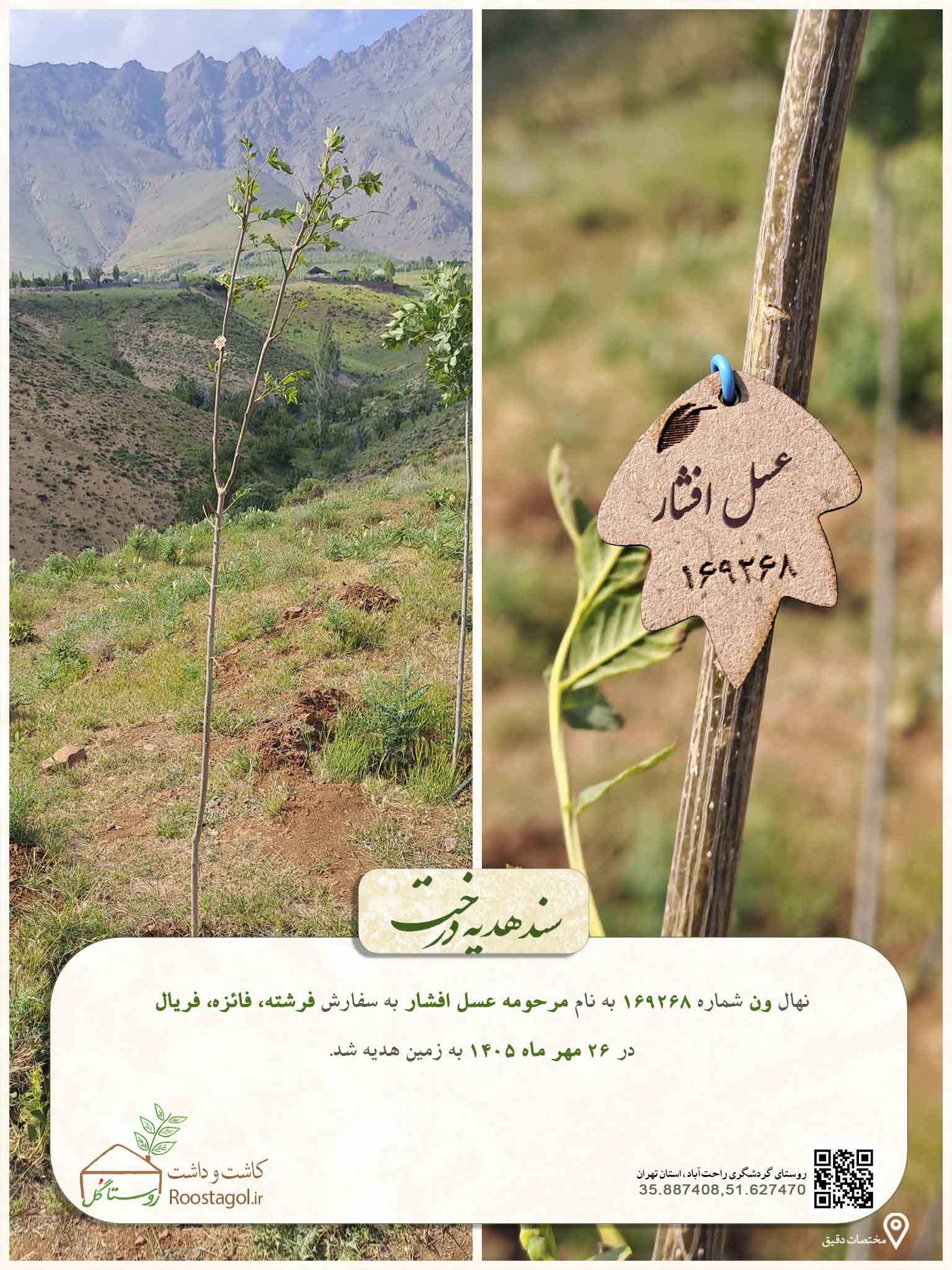 مرحومه عسل افشار