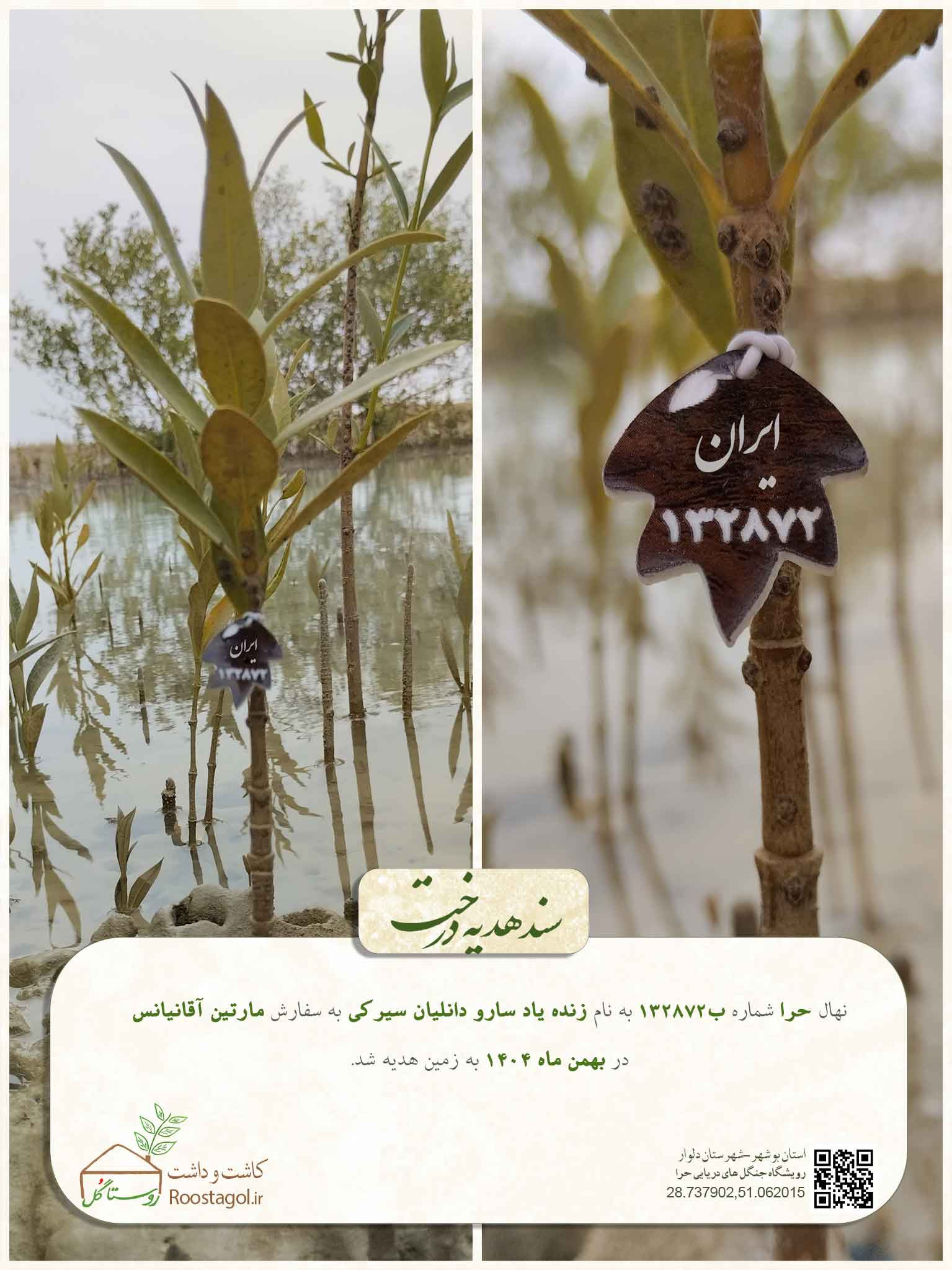 زنده یاد سارو دانلیان سیرکی