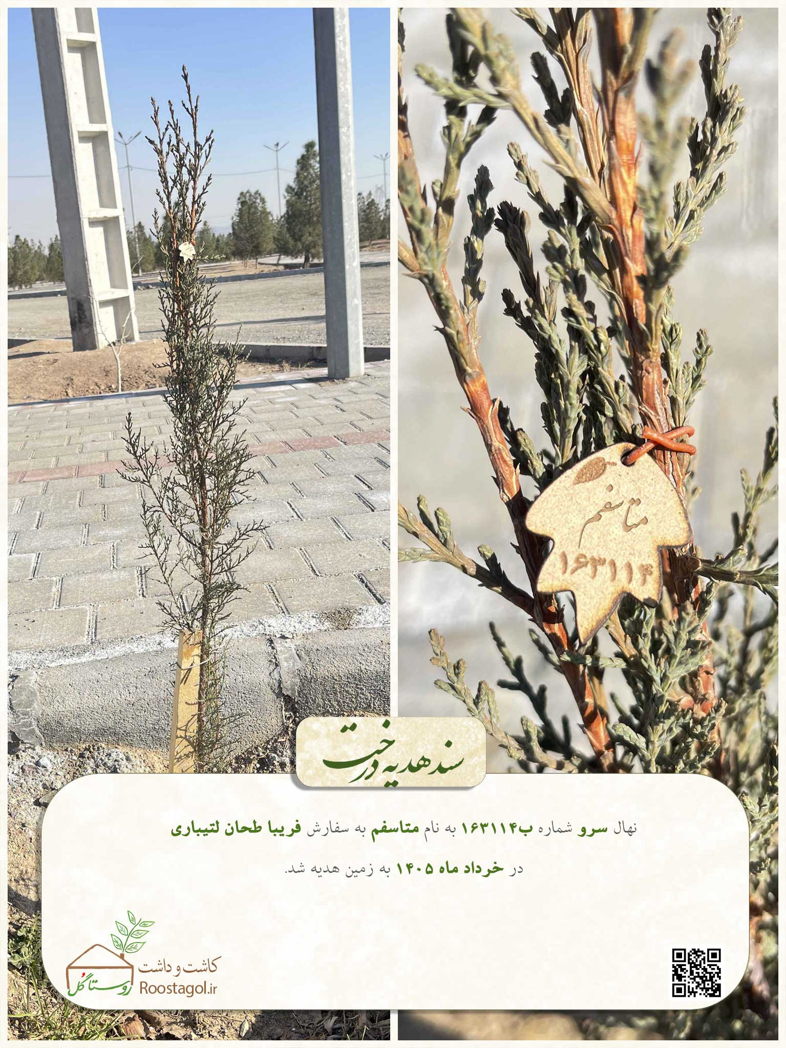 متاسفم
