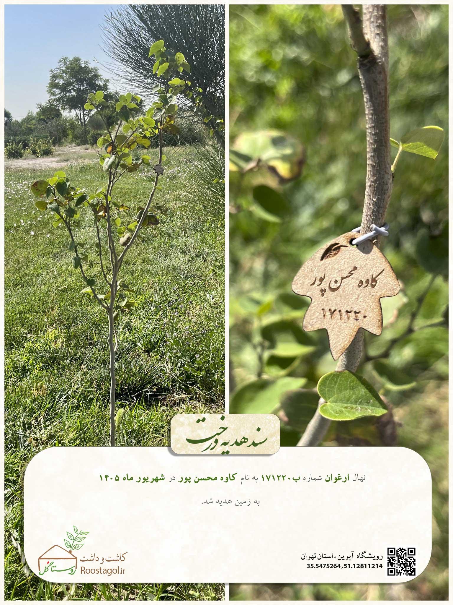 کاوه محسن پور