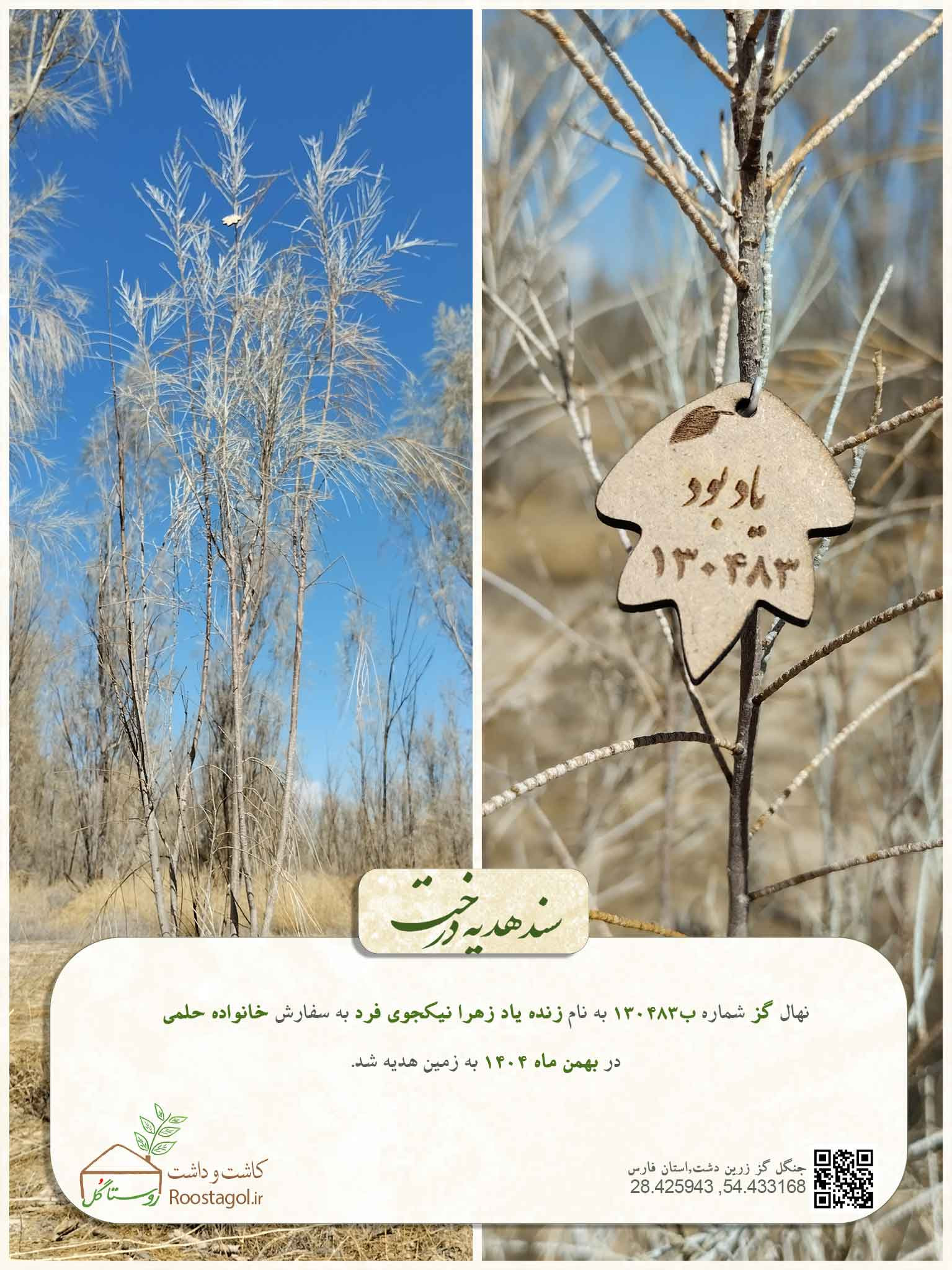 زنده ياد زهرا نيكجوى فرد