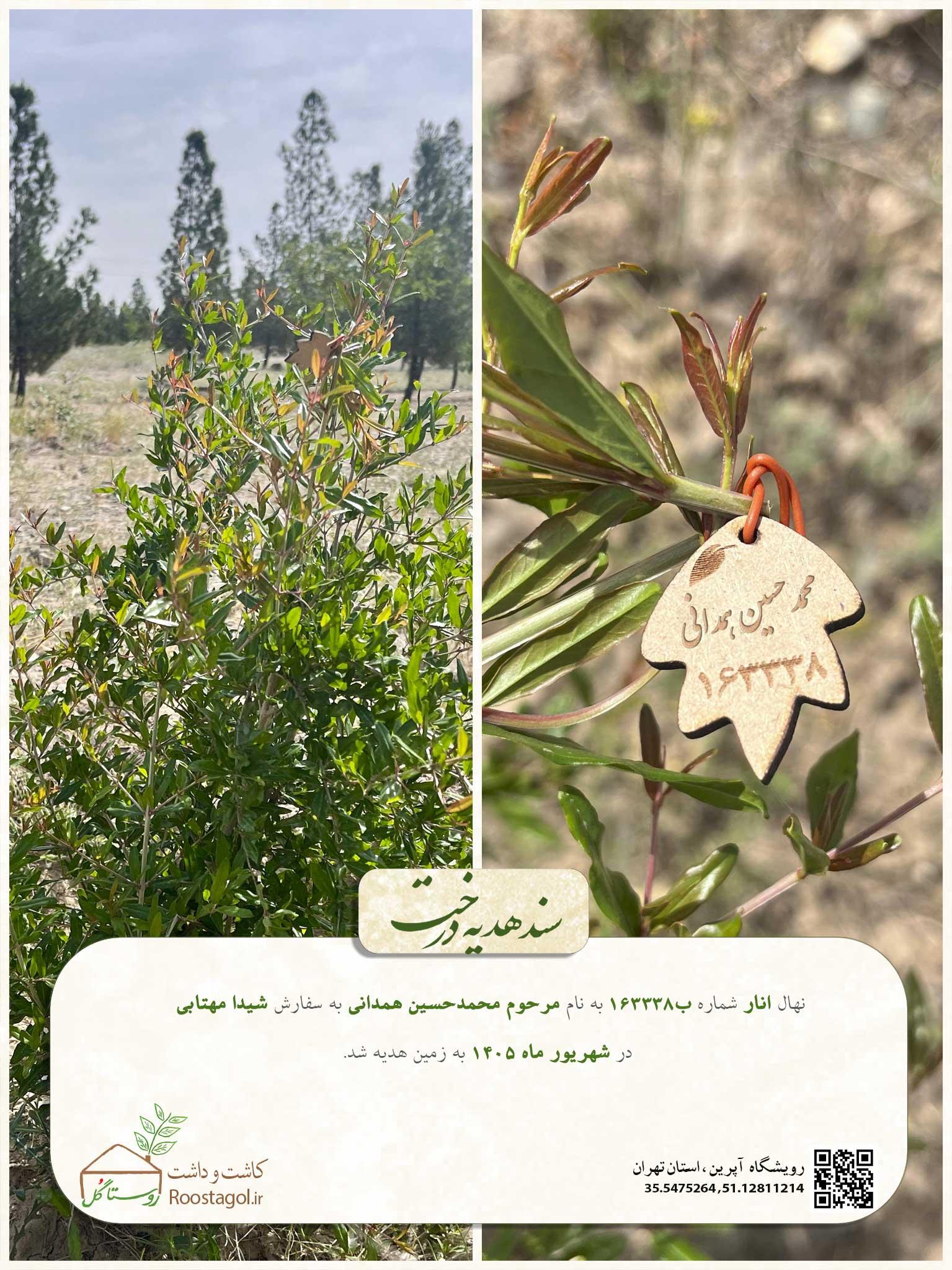 مرحوم محمدحسین همدانی
