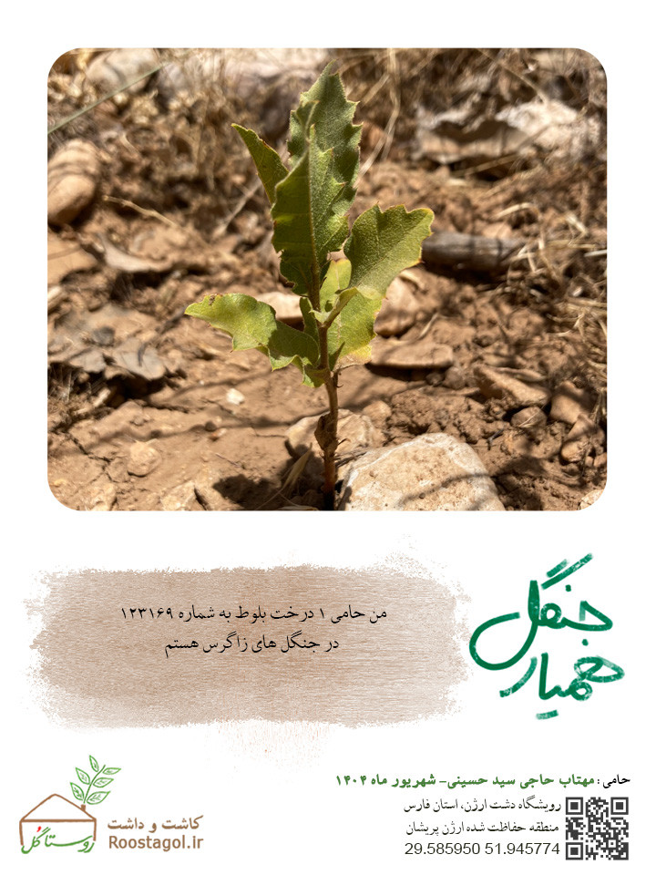 مهتاب حاجی سید حسینی