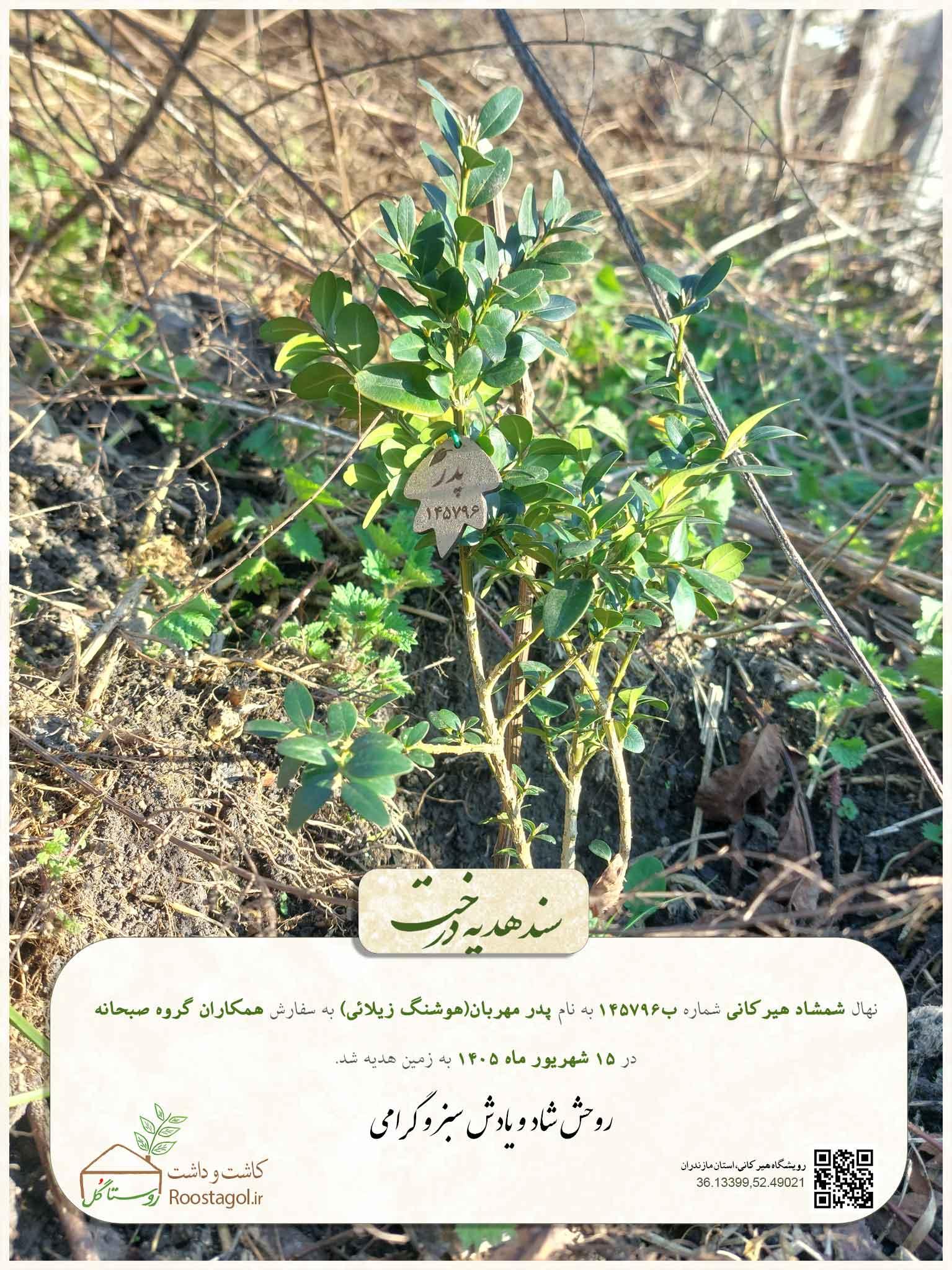 پدر مهربان(هوشنگ زیلائی)