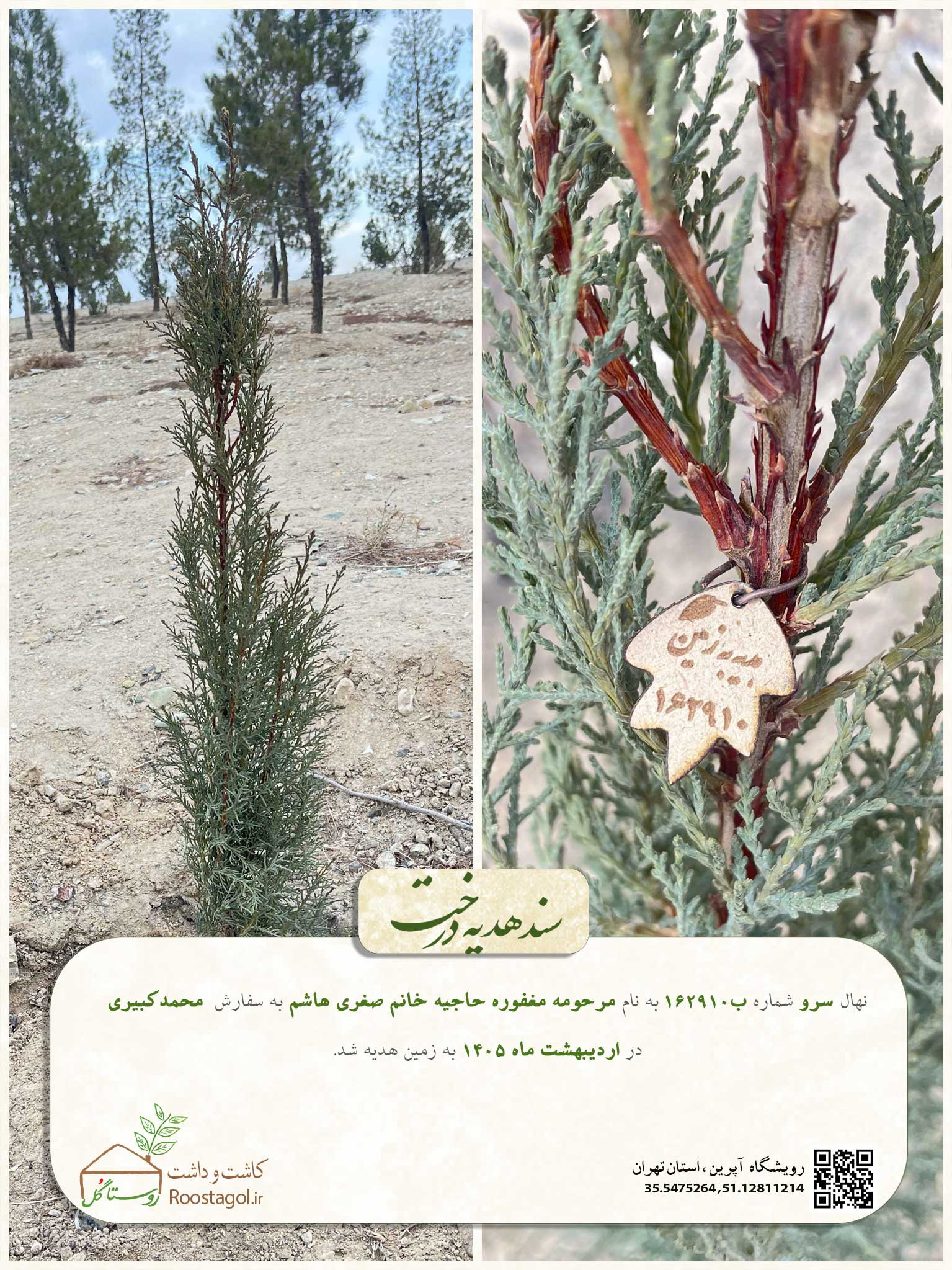 مرحومه مغفوره حاجیه خانم صغری هاشم